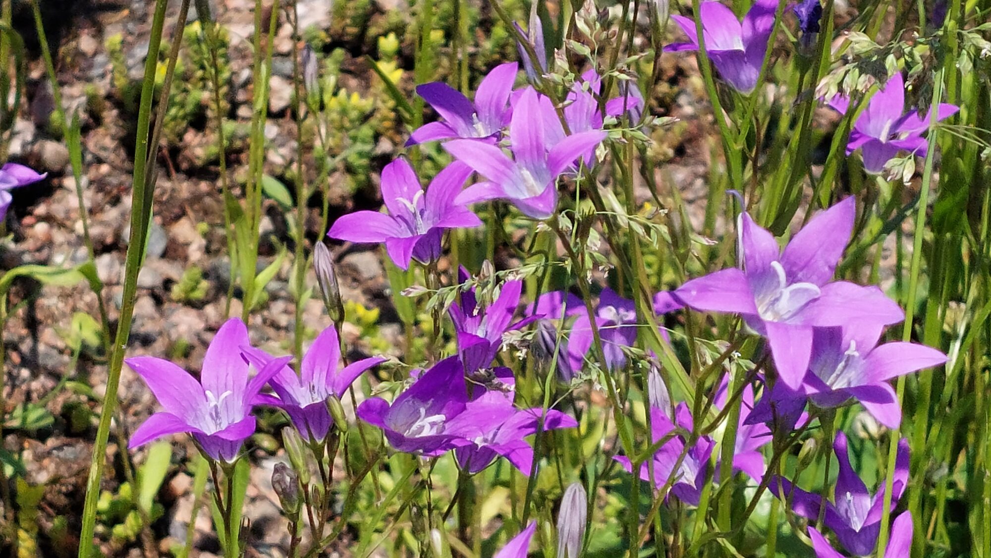 Valokuvaaja: Tarja Naukkarinen
