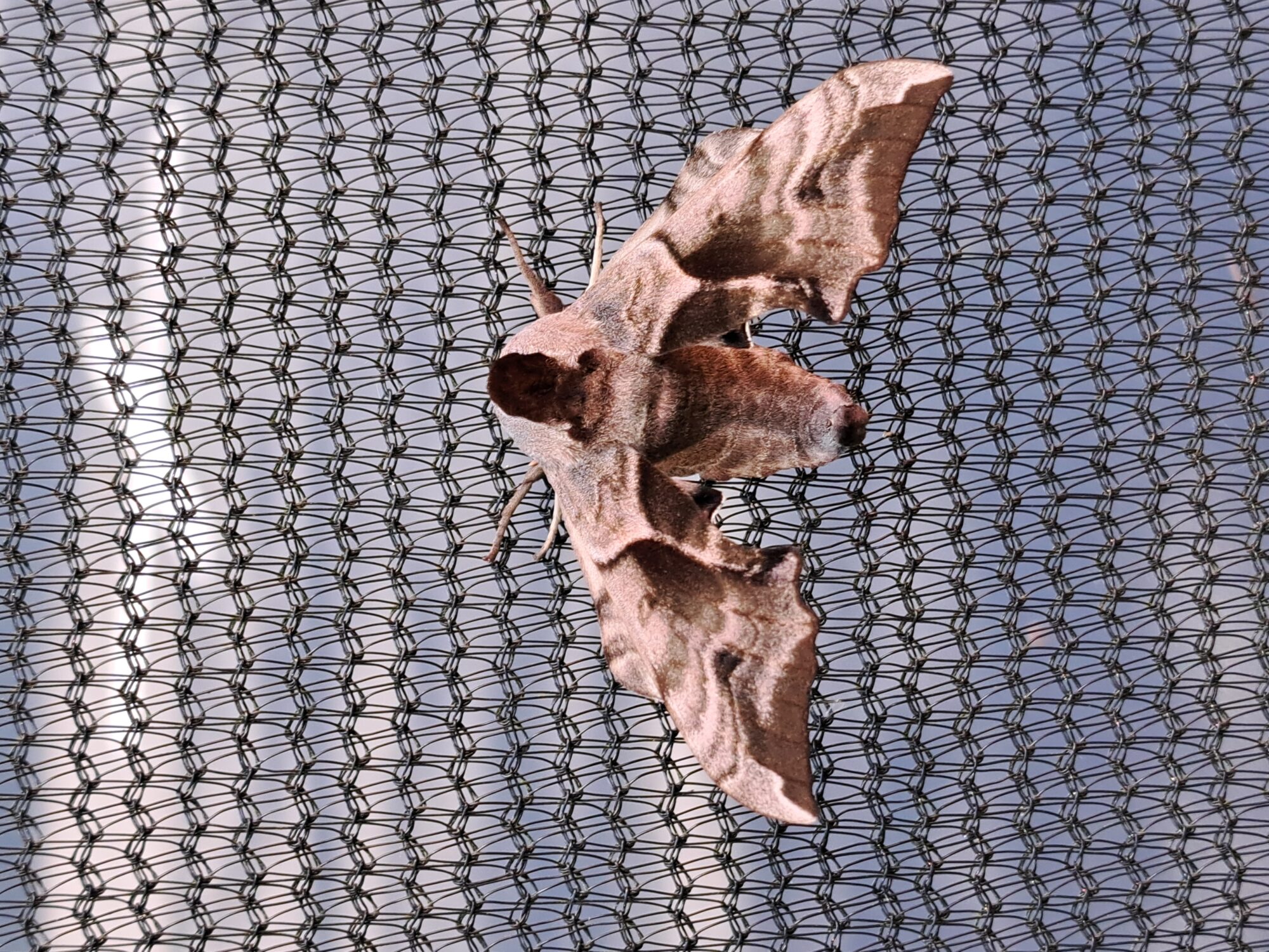 Valokuvaaja: Minna-Mari