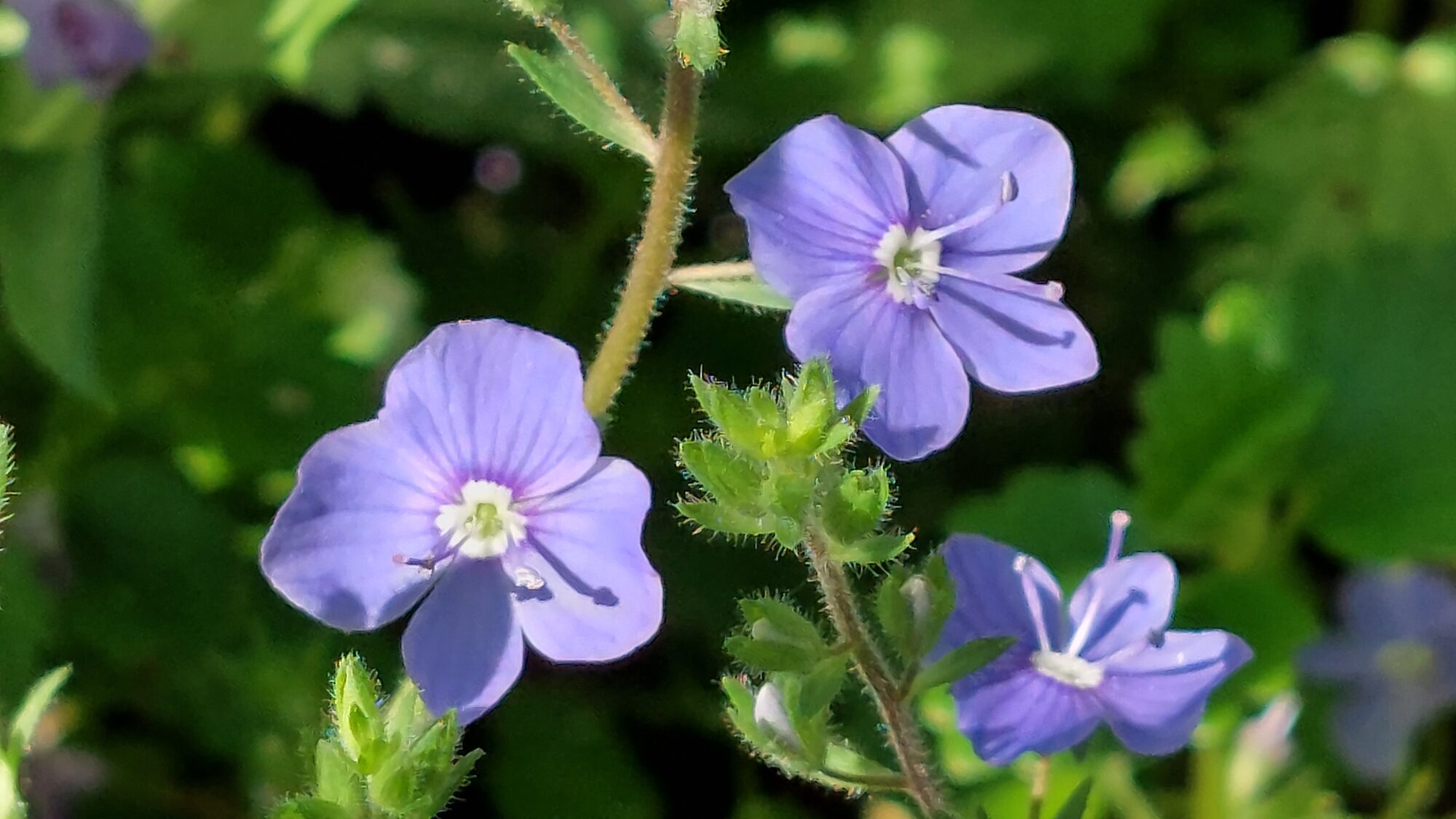 Valokuvaaja: Tarja Naukkarinen