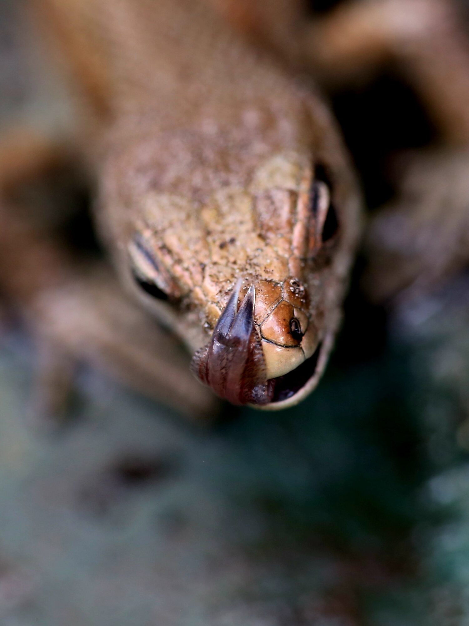 Valokuvaaja: Maija Mehto