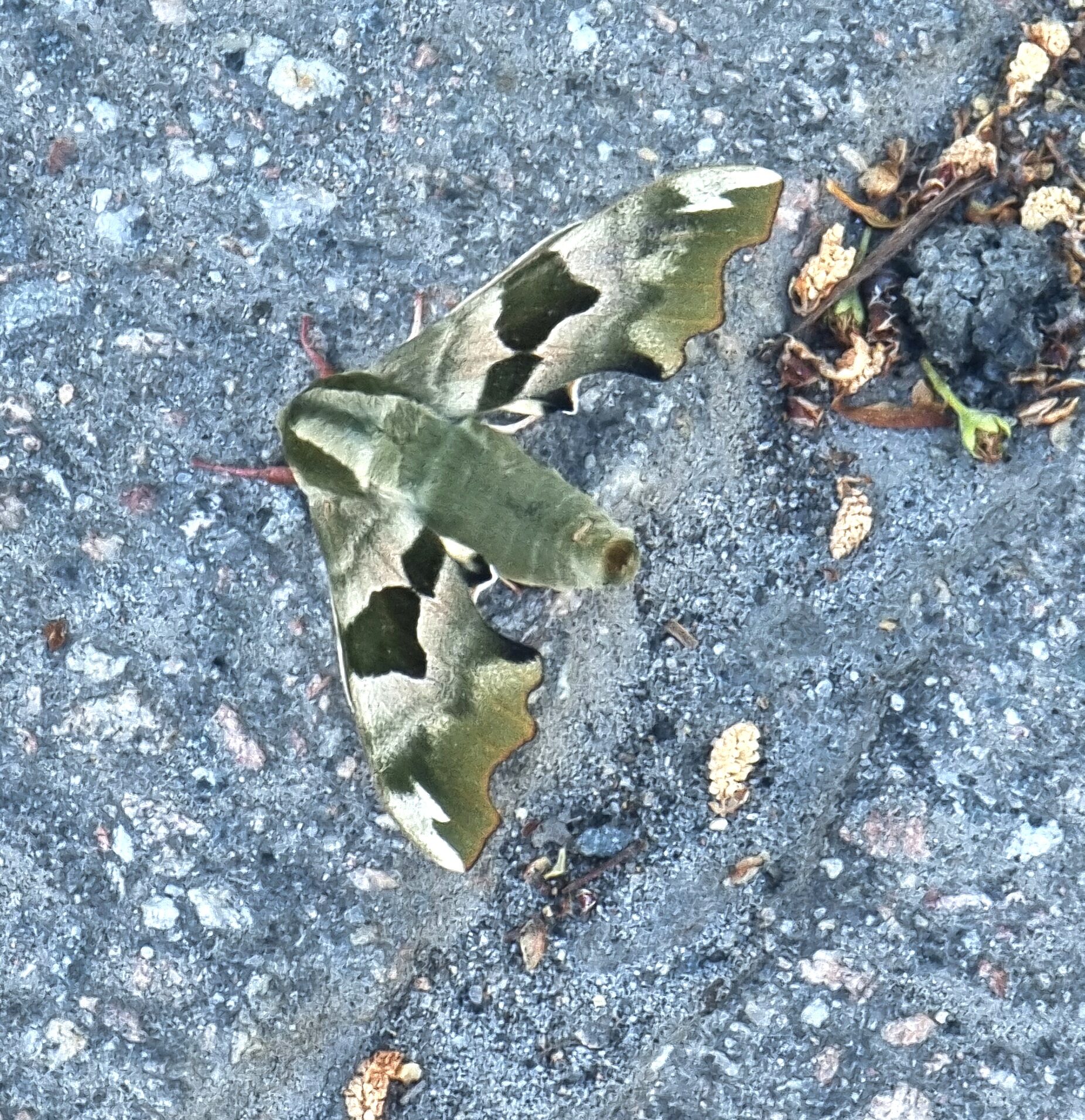 Valokuvaaja: Minna Enkenberg