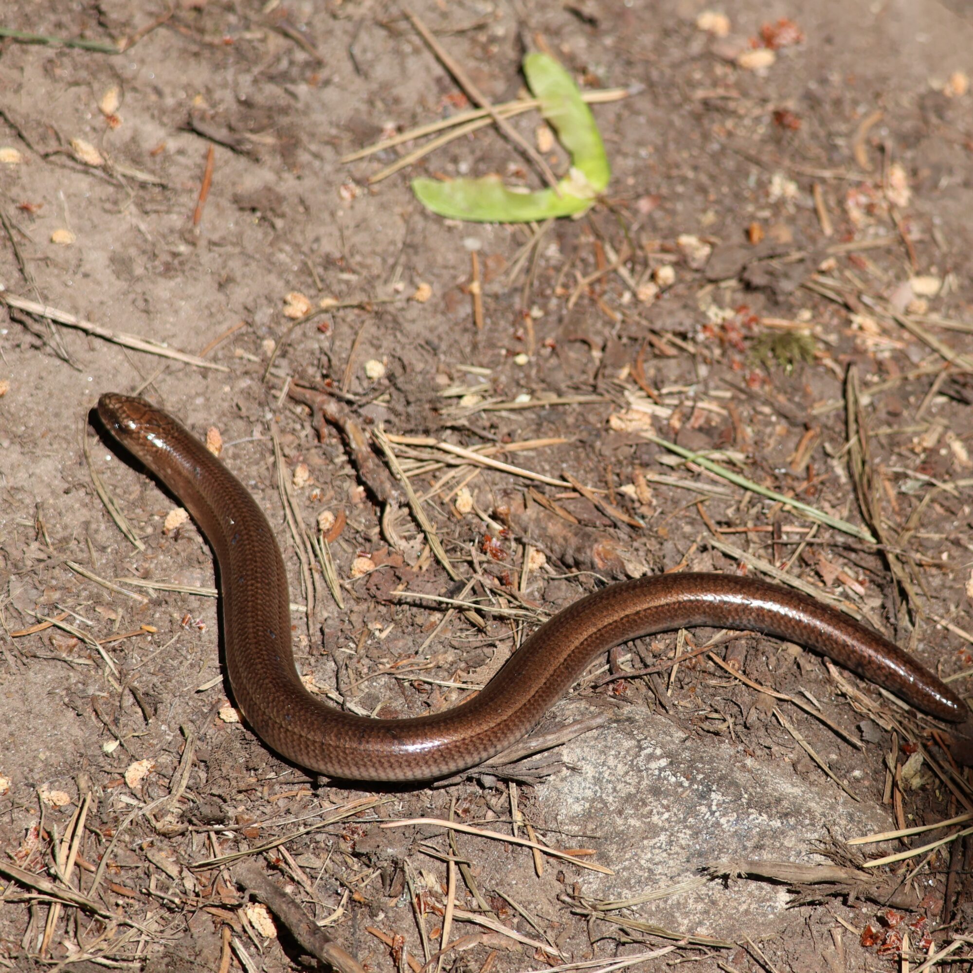 Valokuvaaja: Hanna Rönty