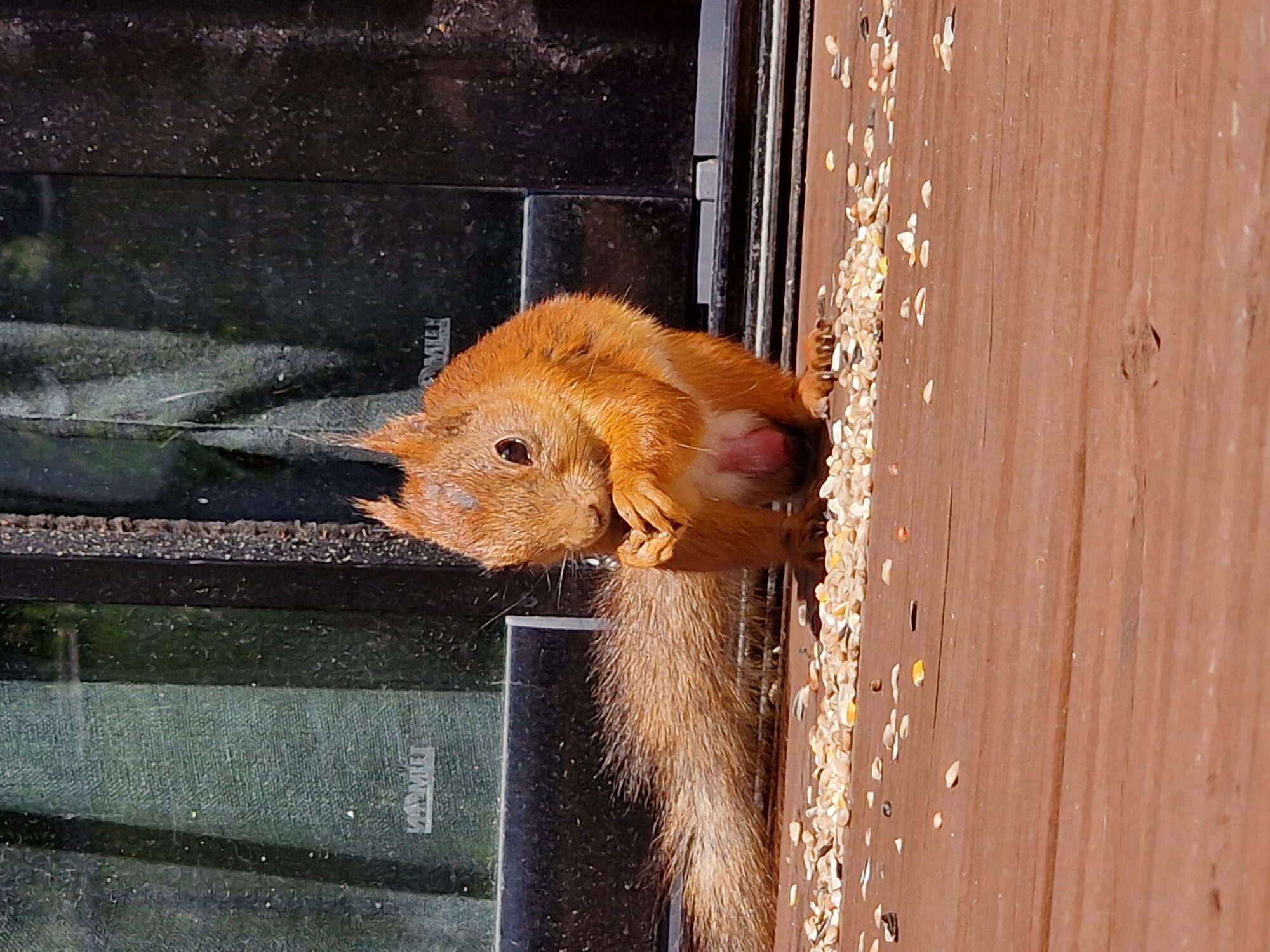 Valokuvaaja: Elina Leukkunen