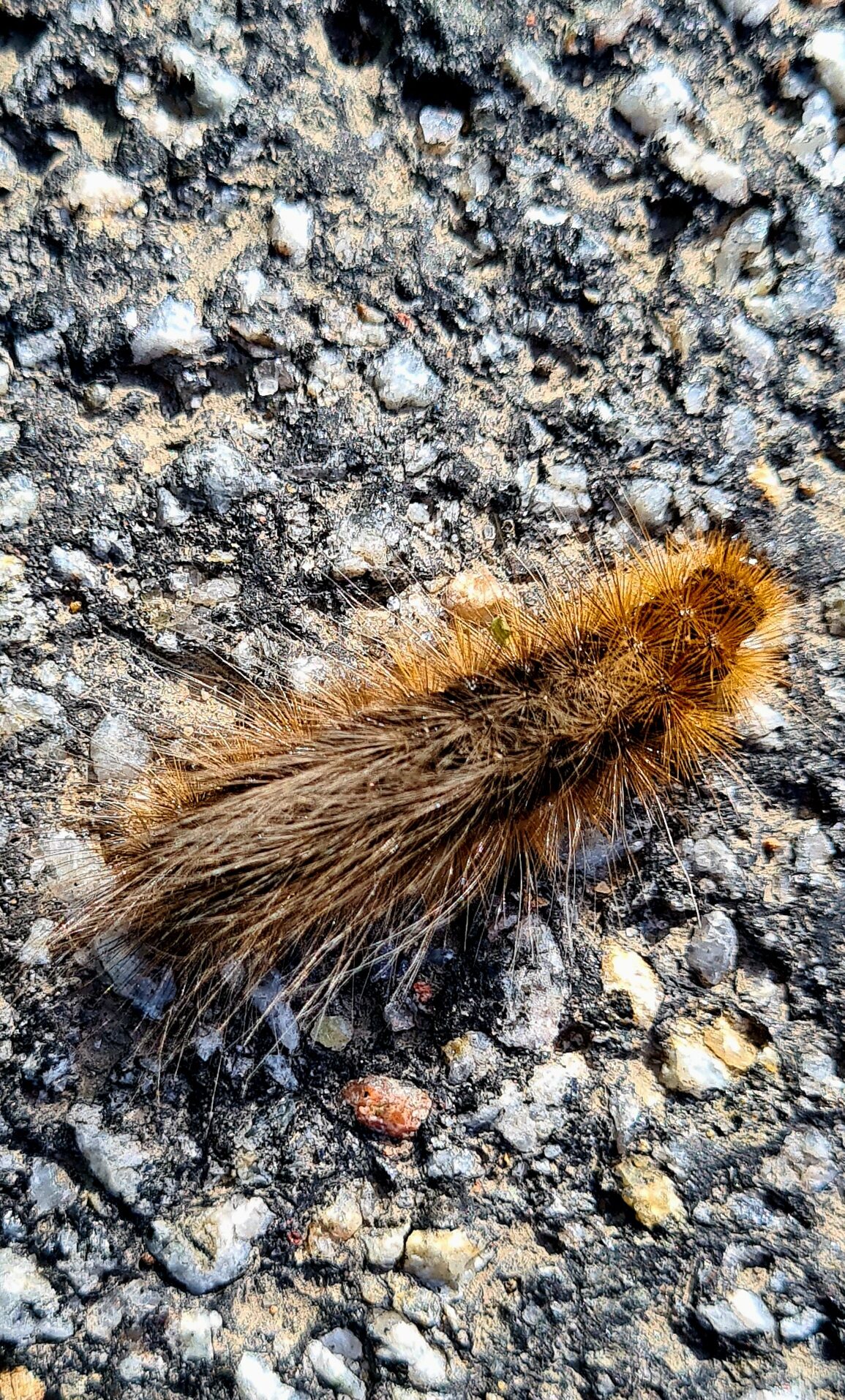 Valokuvaaja: Kaarina Walter