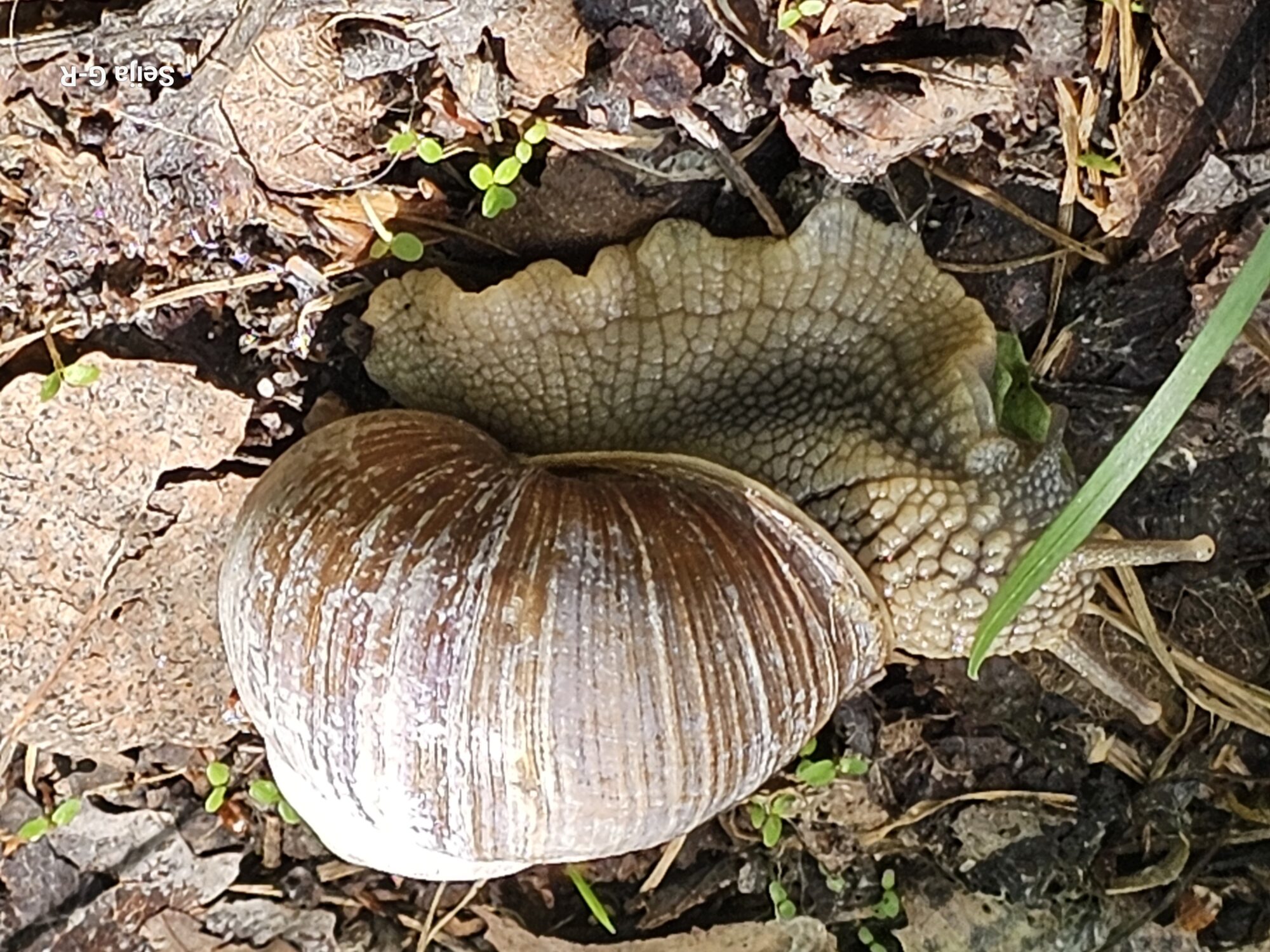 Valokuvaaja: Seija Grönvall-Keinänen Valokuvaaja: Seija Grönvall-Keinänen