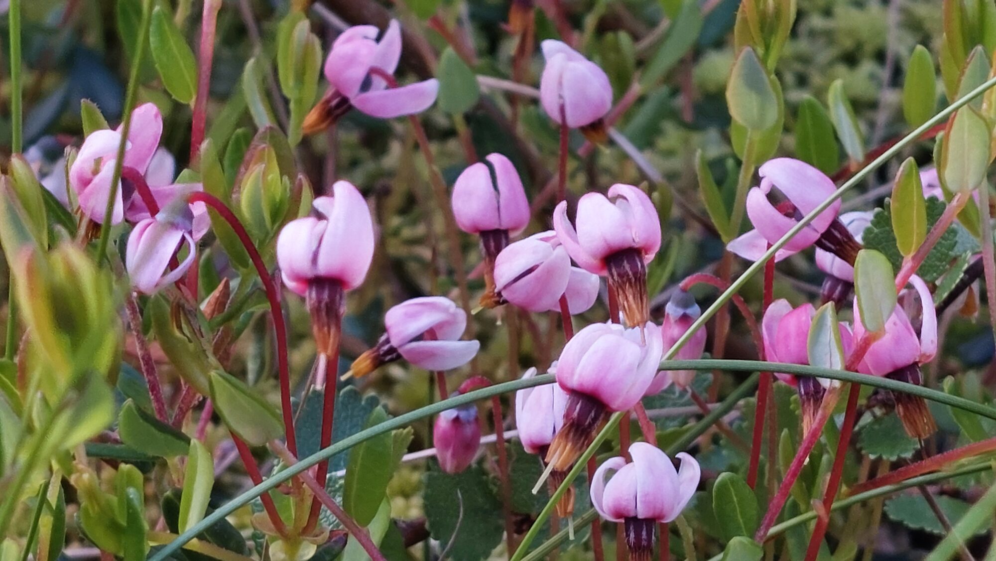 Valokuvaaja: Tarja Naukkarinen Valokuvaaja: Tarja Naukkarinen
