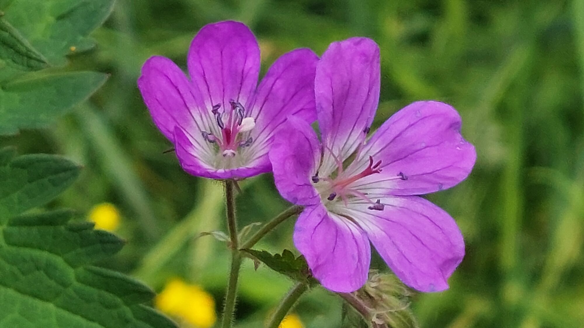 Valokuvaaja: Tarja Naukkarinen