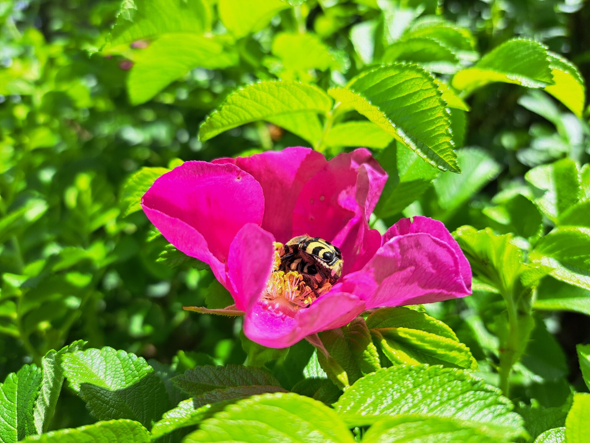 Valokuvaaja: Sanna Niemi