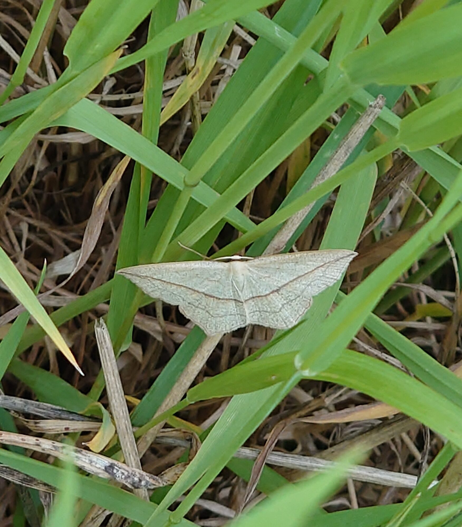 Valokuvaaja: Roppola Jouni