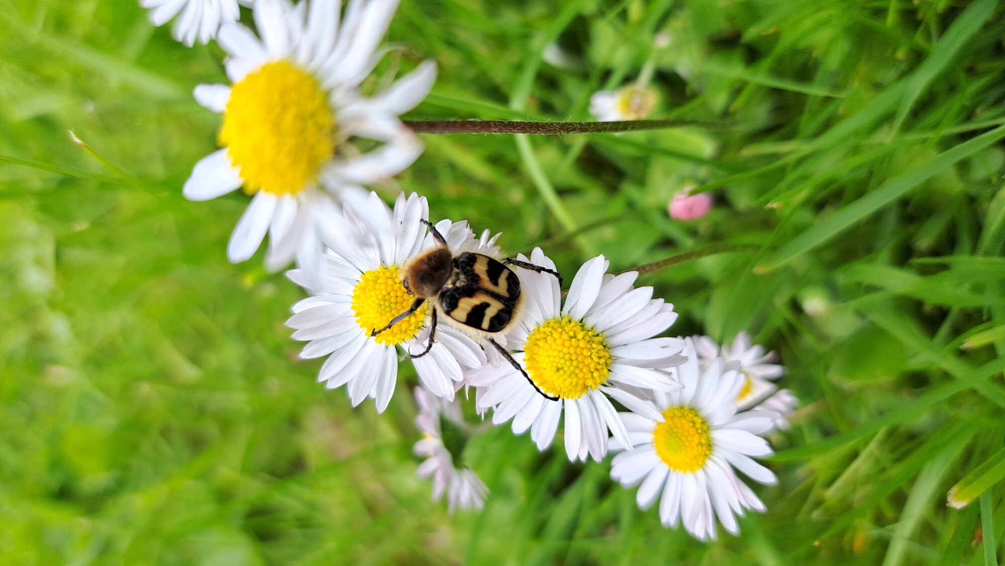 Valokuvaaja: Henna-Marjukka Vere