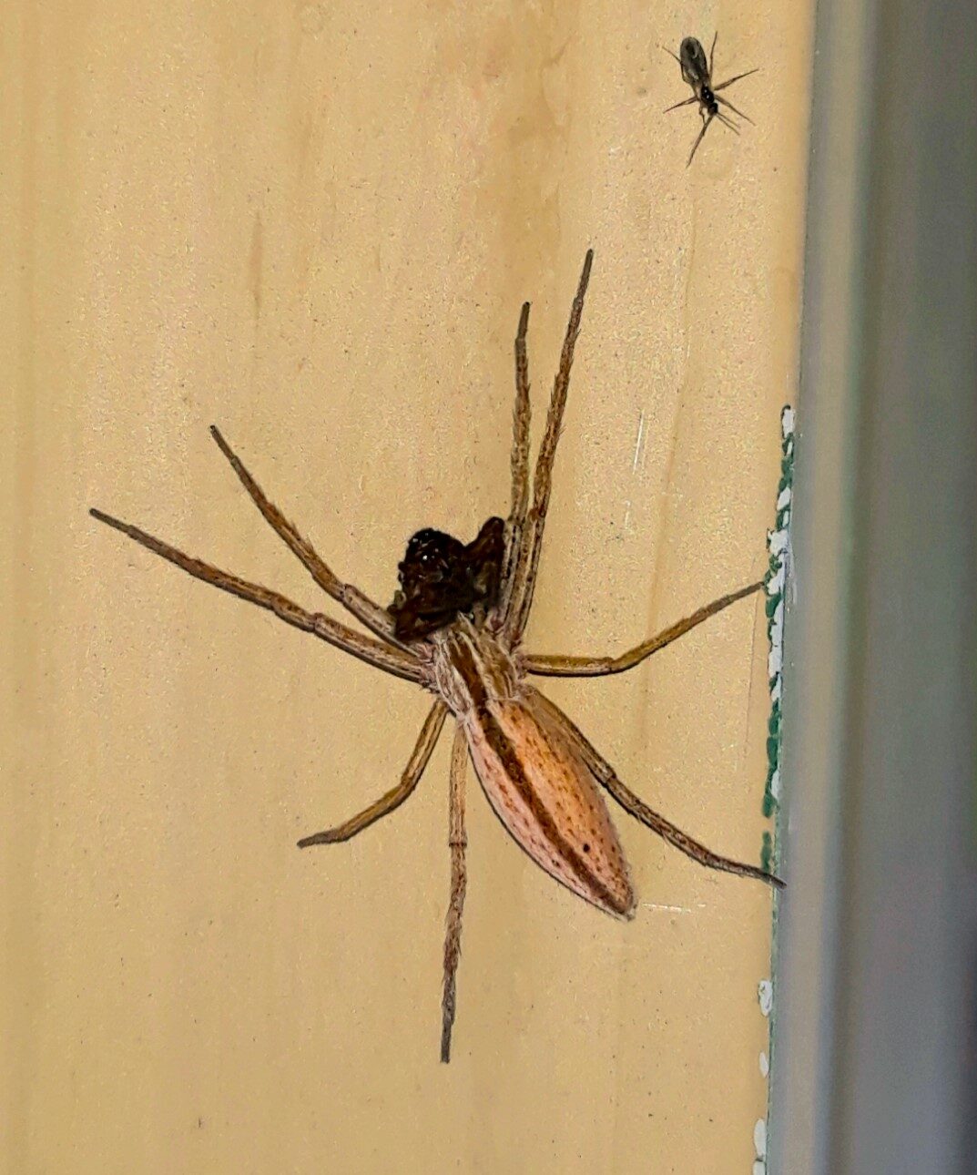 Valokuvaaja: Raili Nieminen