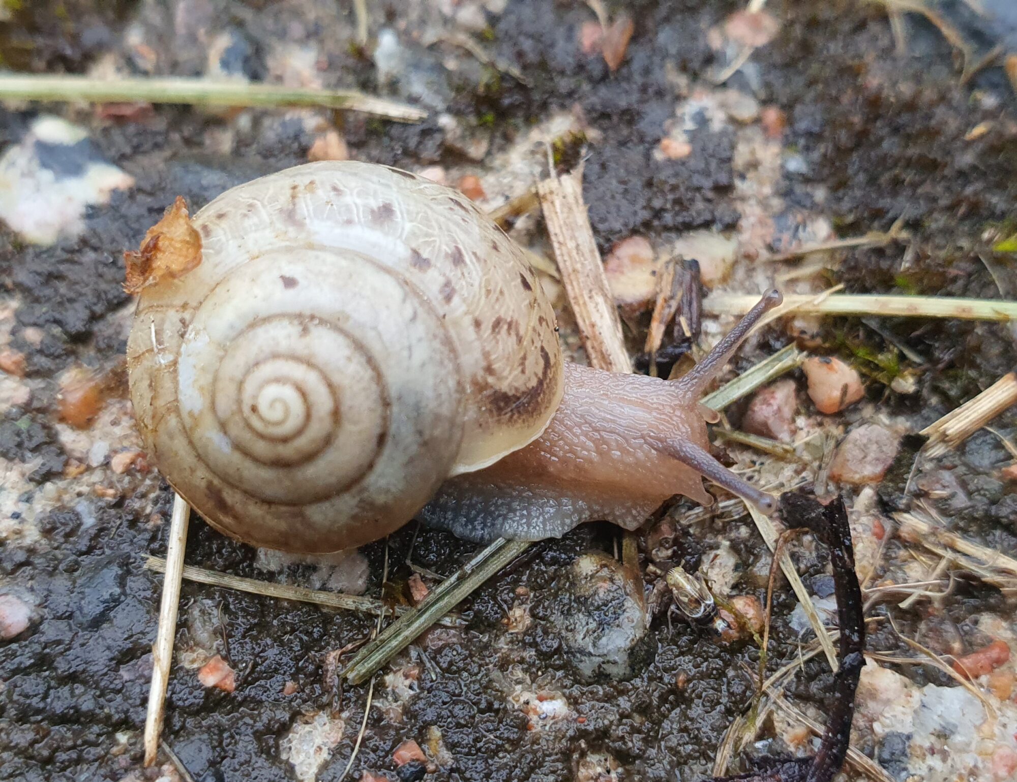 Valokuvaaja: Rosa Valokuvaaja: Rosa