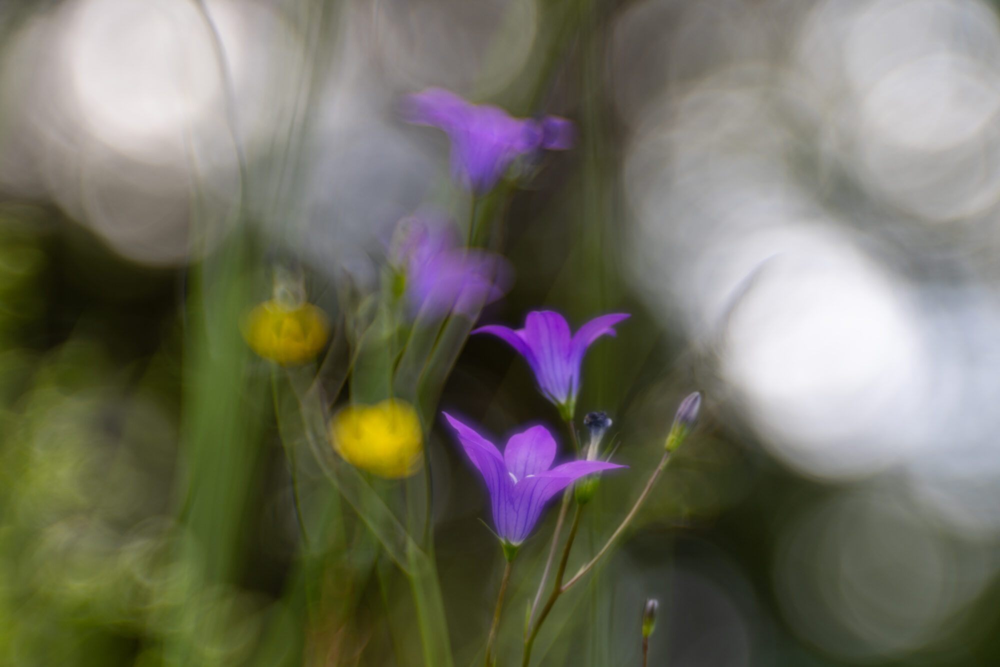 Valokuvaaja: Anne Patana