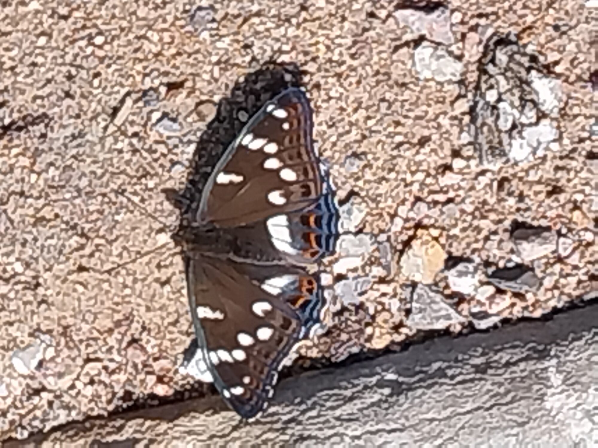 Valokuvaaja: Risto Koskela Valokuvaaja: Risto Koskela