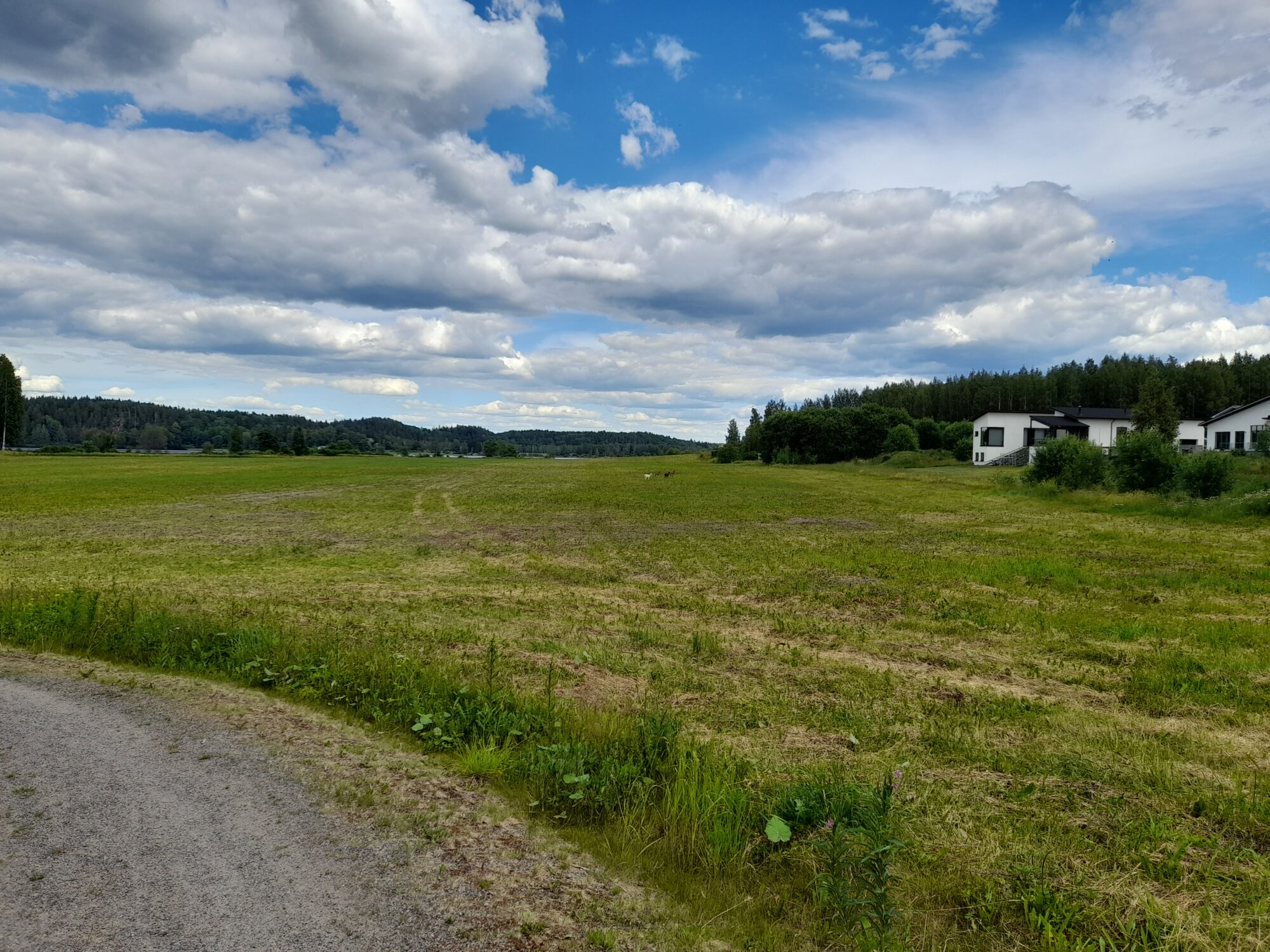 Valokuvaaja: Risto Joro