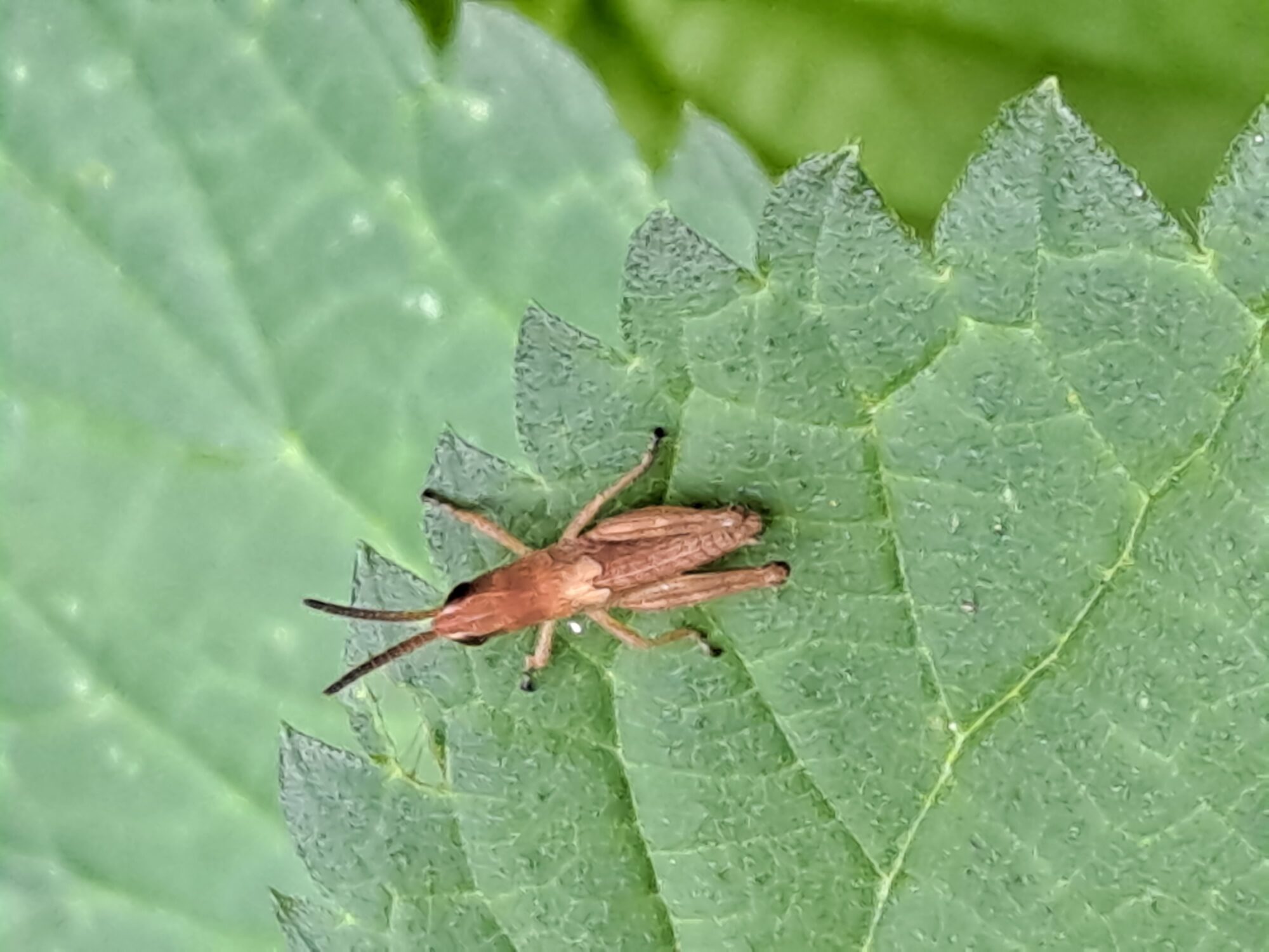 Valokuvaaja: Satu Suuntala