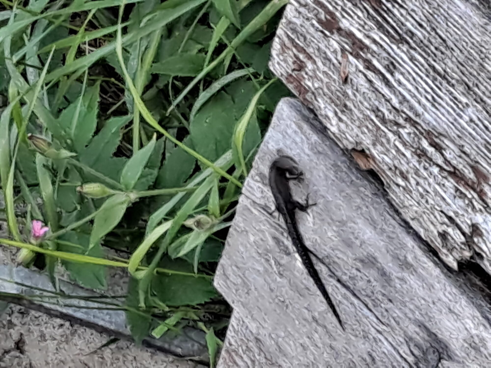 Valokuvaaja: Satu Suuntala