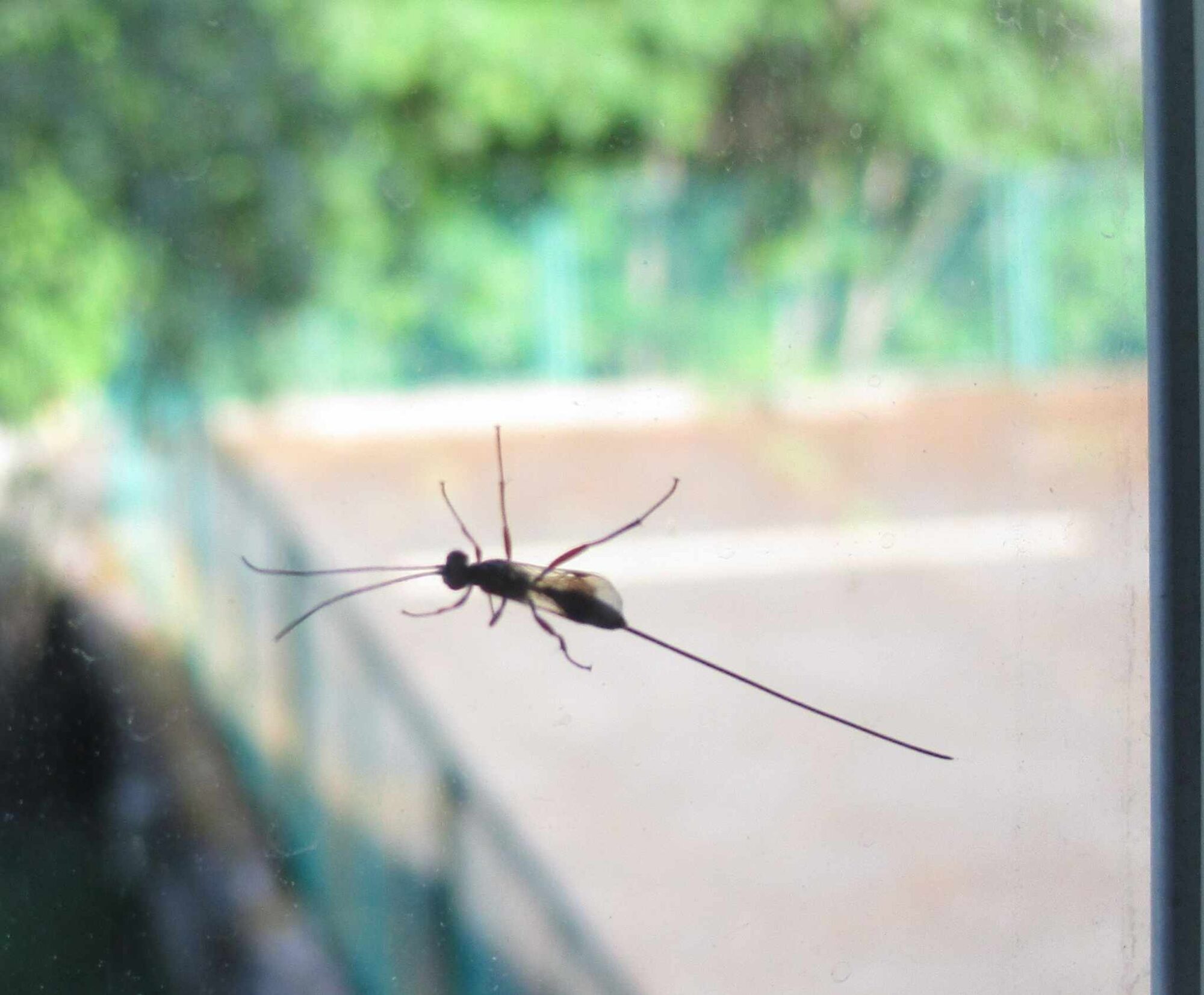 Valokuvaaja: Anneli Paavilainen