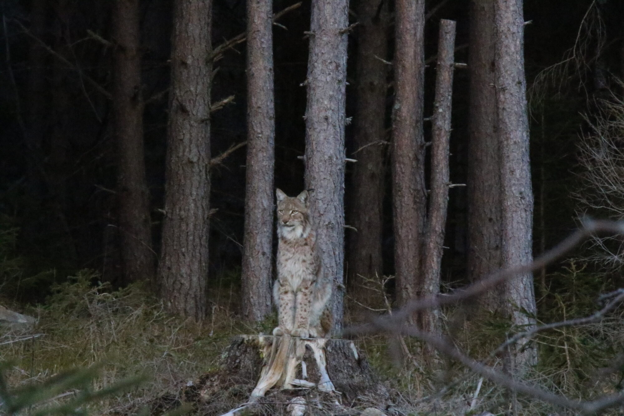 Valokuvaaja: Petri Nippala