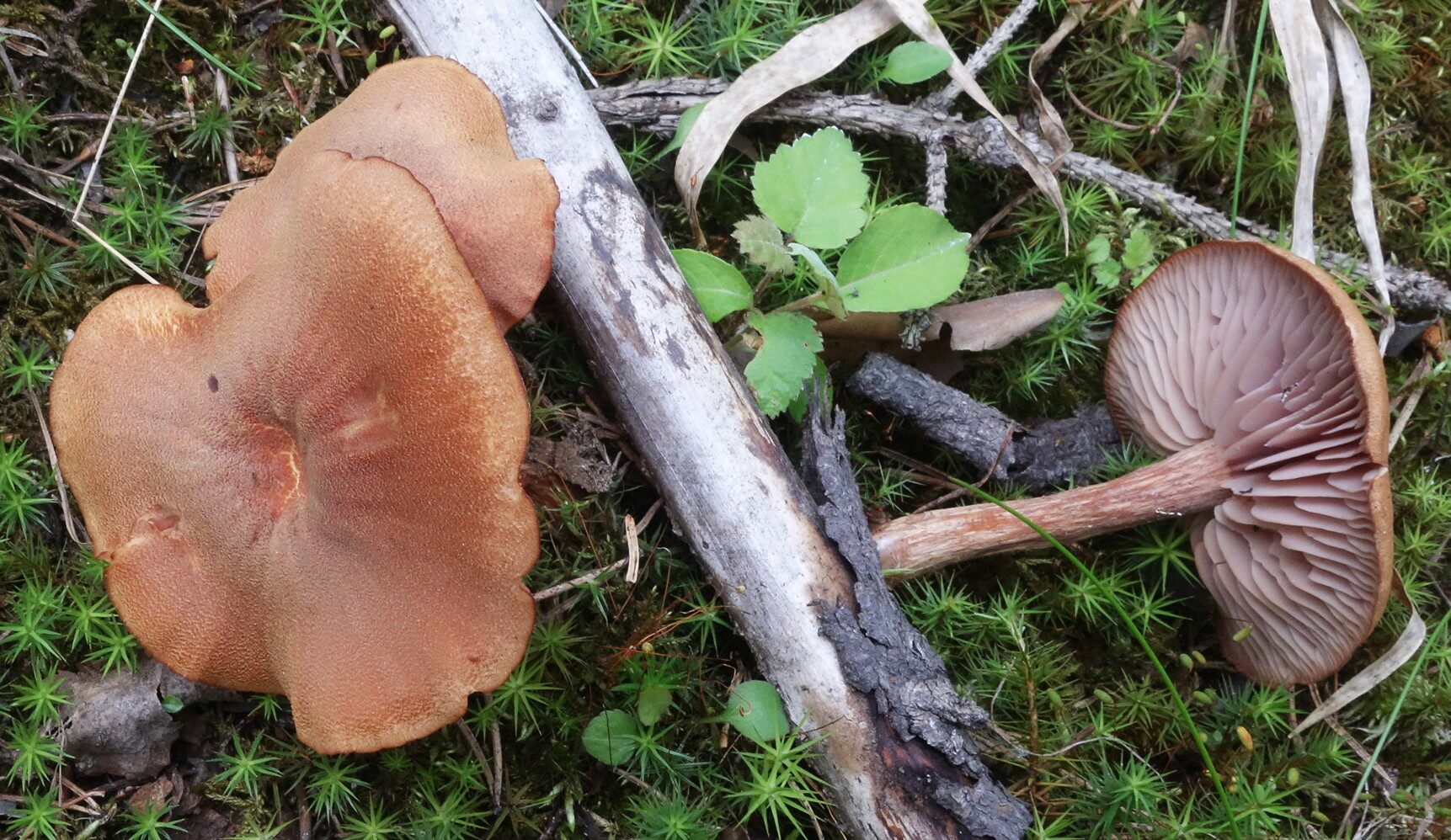 Valokuvaaja: Kaarina Heiskanen