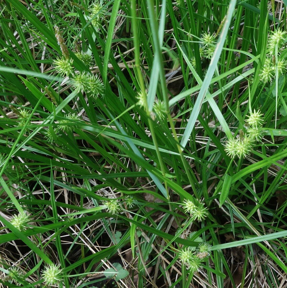 Valokuvaaja: Kaarina Heiskanen