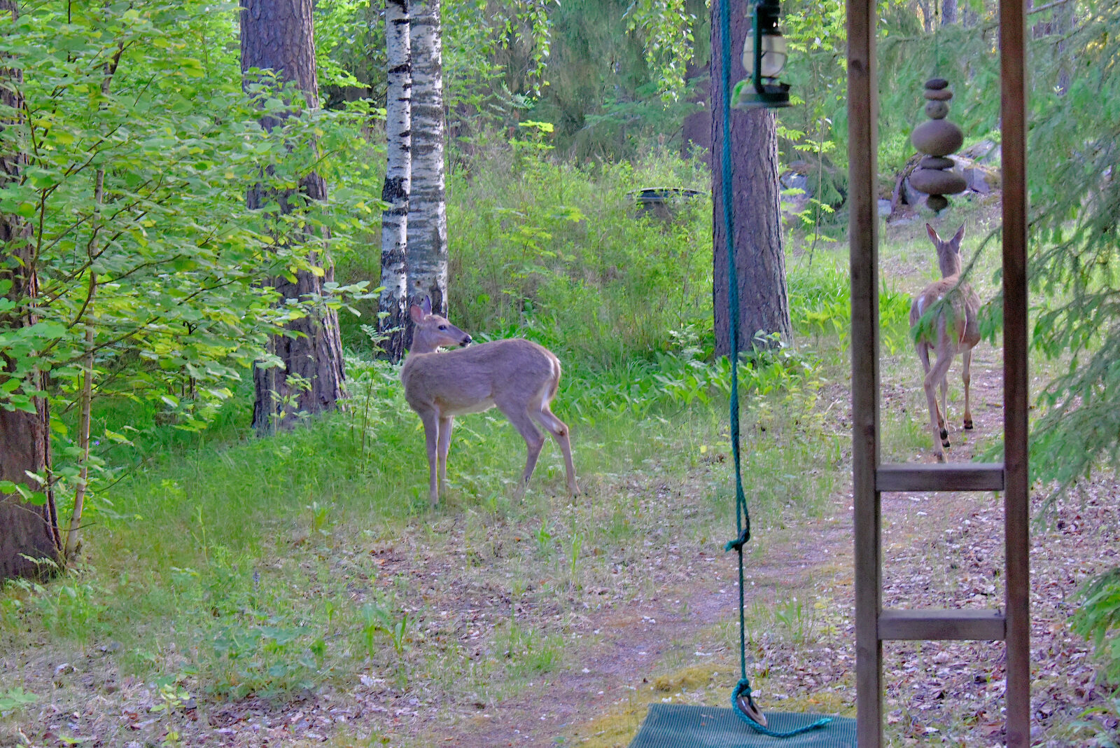 Valokuvaaja: Reijo Juurinen