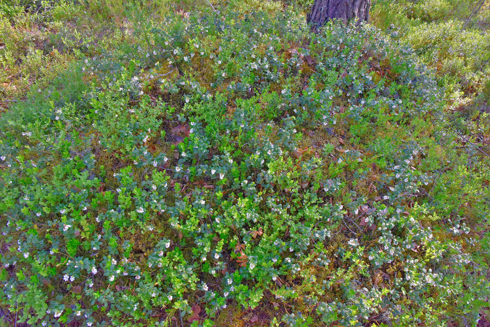 Valokuvaaja: Reijo Juurinen