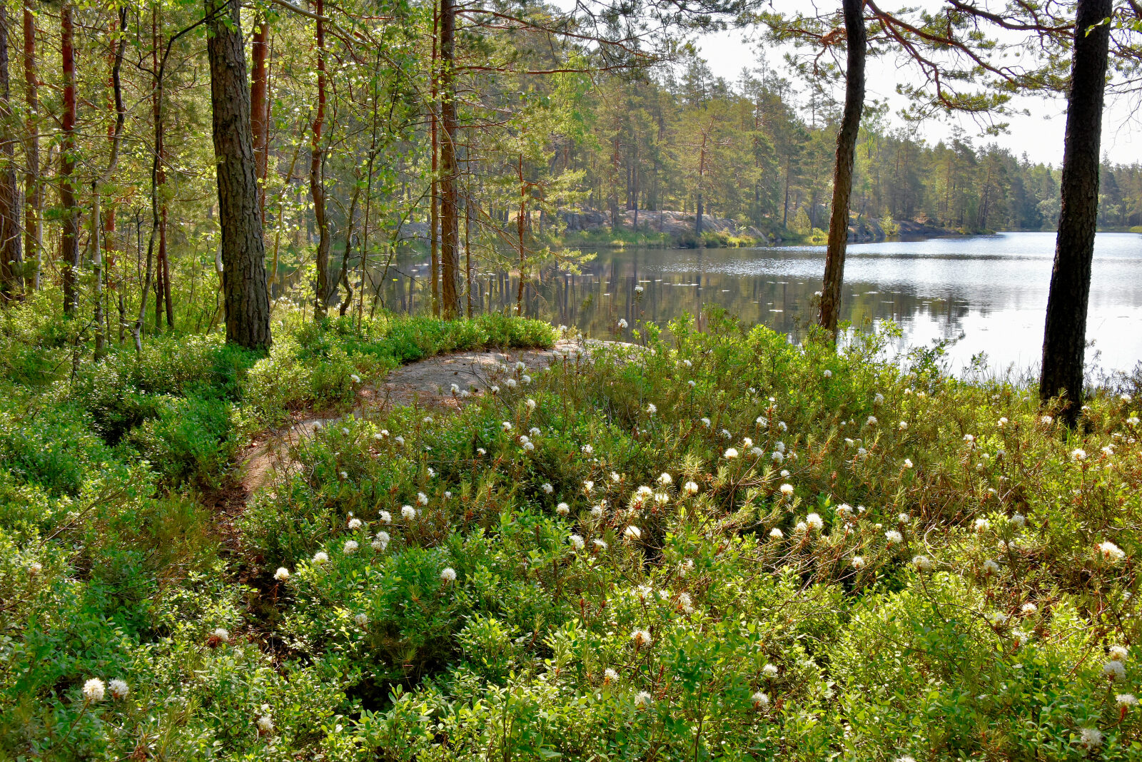 Valokuvaaja: Reijo Juurinen
