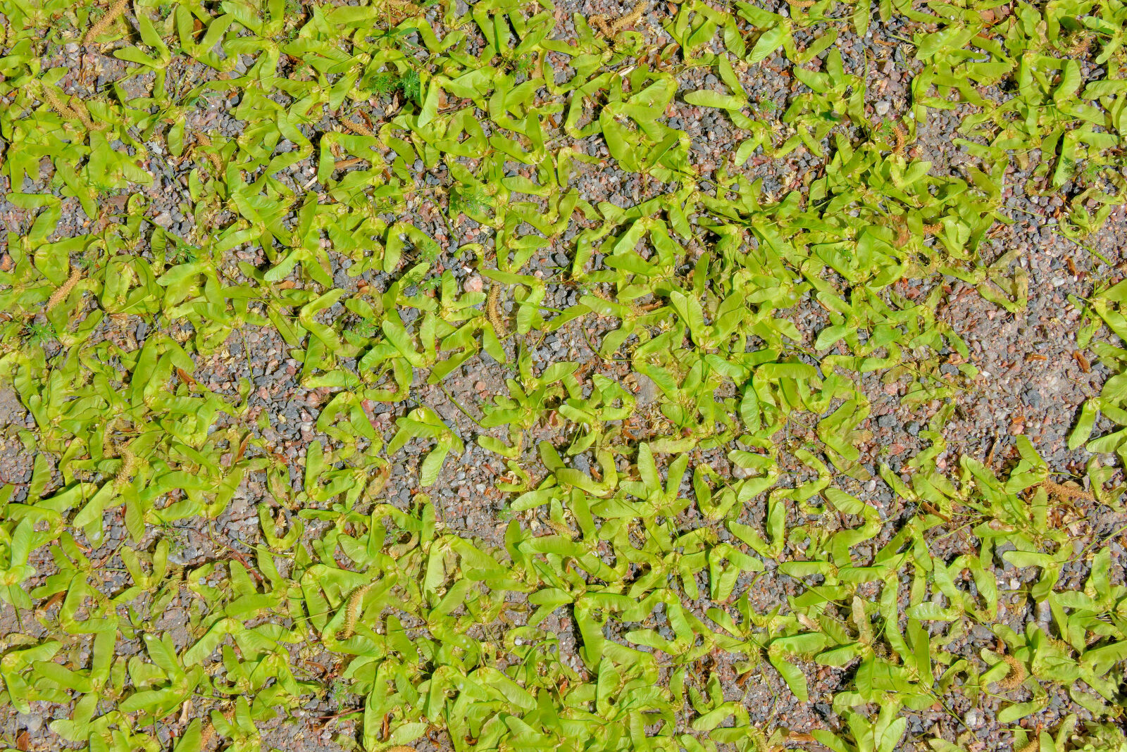 Valokuvaaja: Reijo Juurinen