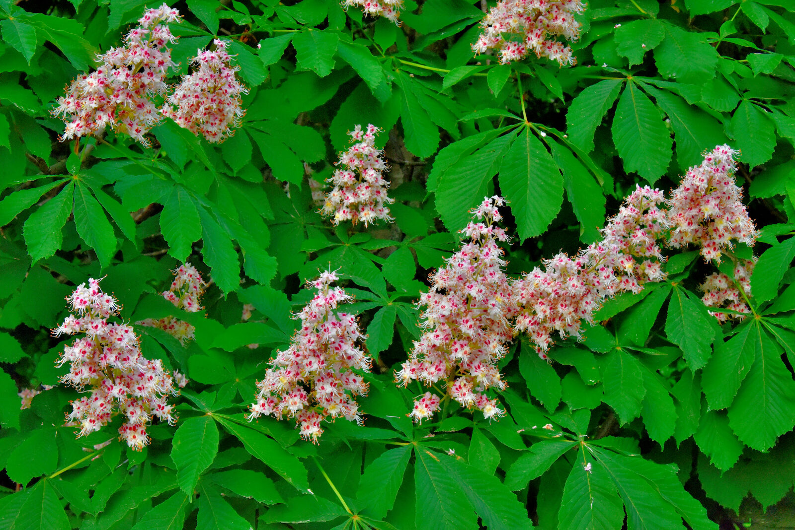 Valokuvaaja: Reijo Juurinen