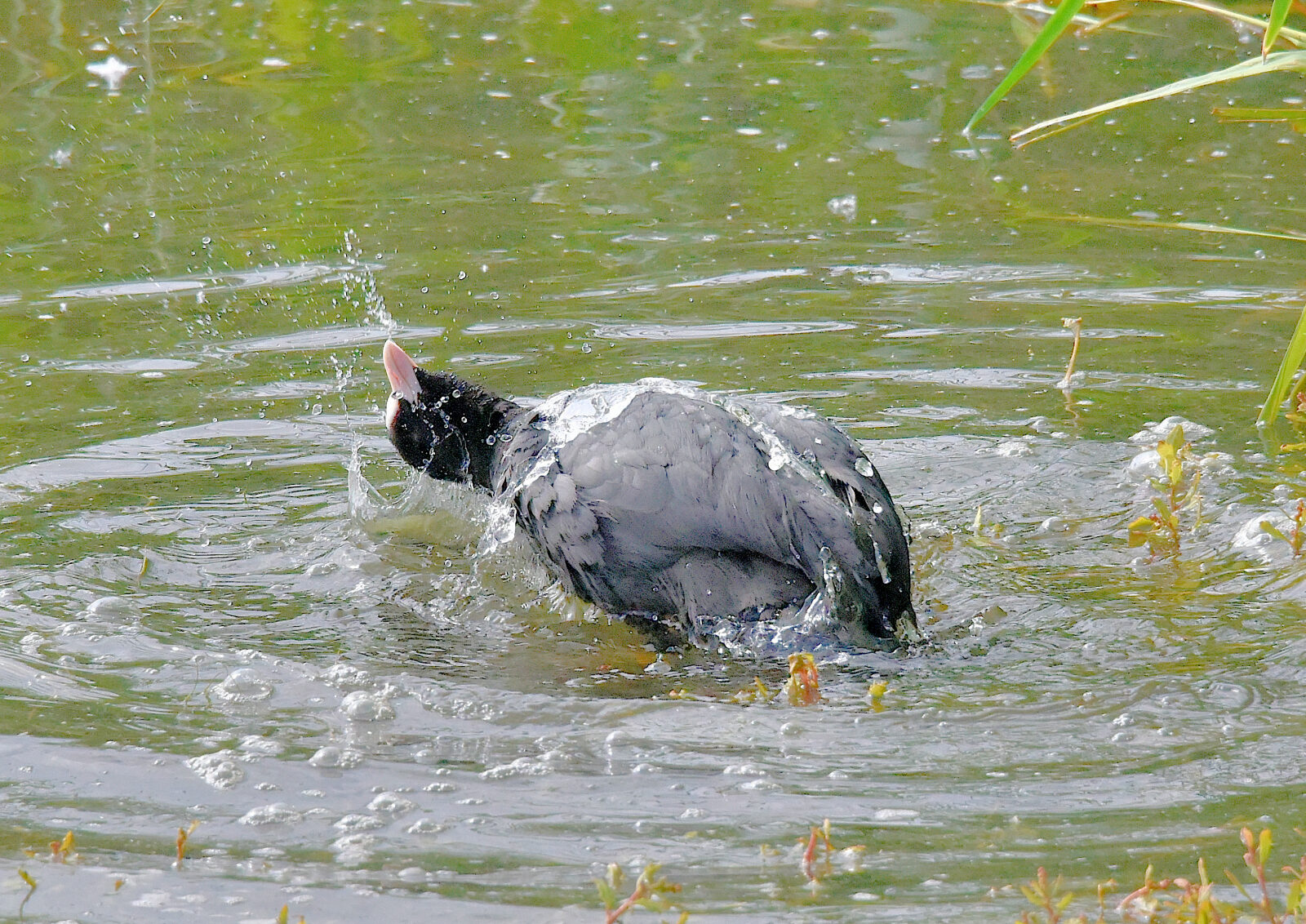 Valokuvaaja: Reijo Juurinen