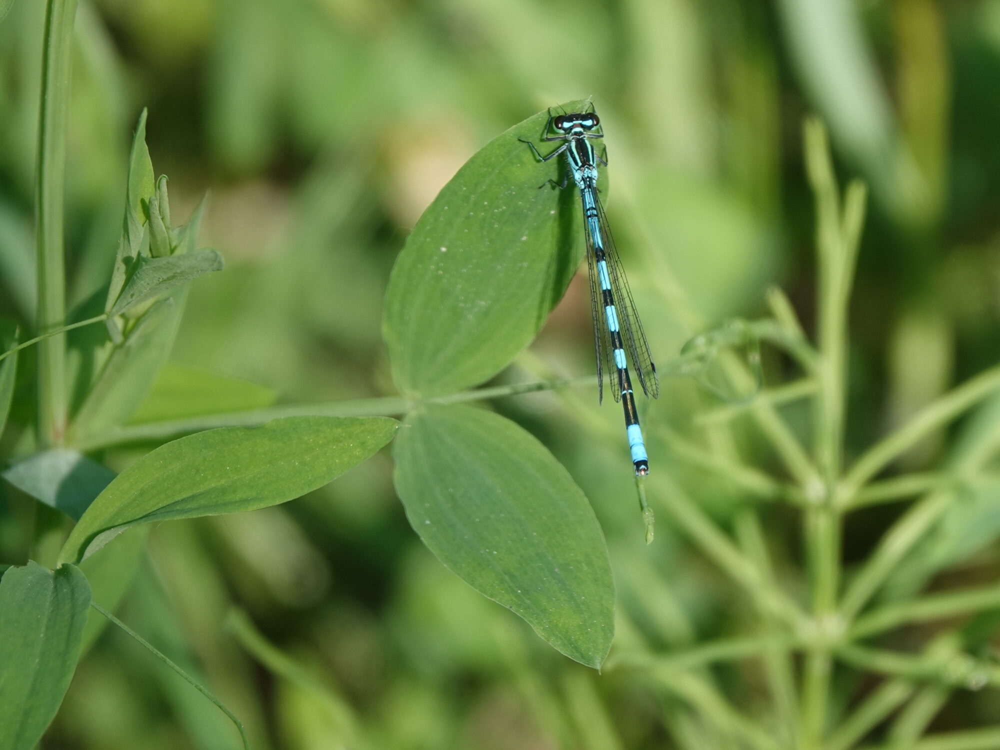 Valokuvaaja: Jenna Pitkänen