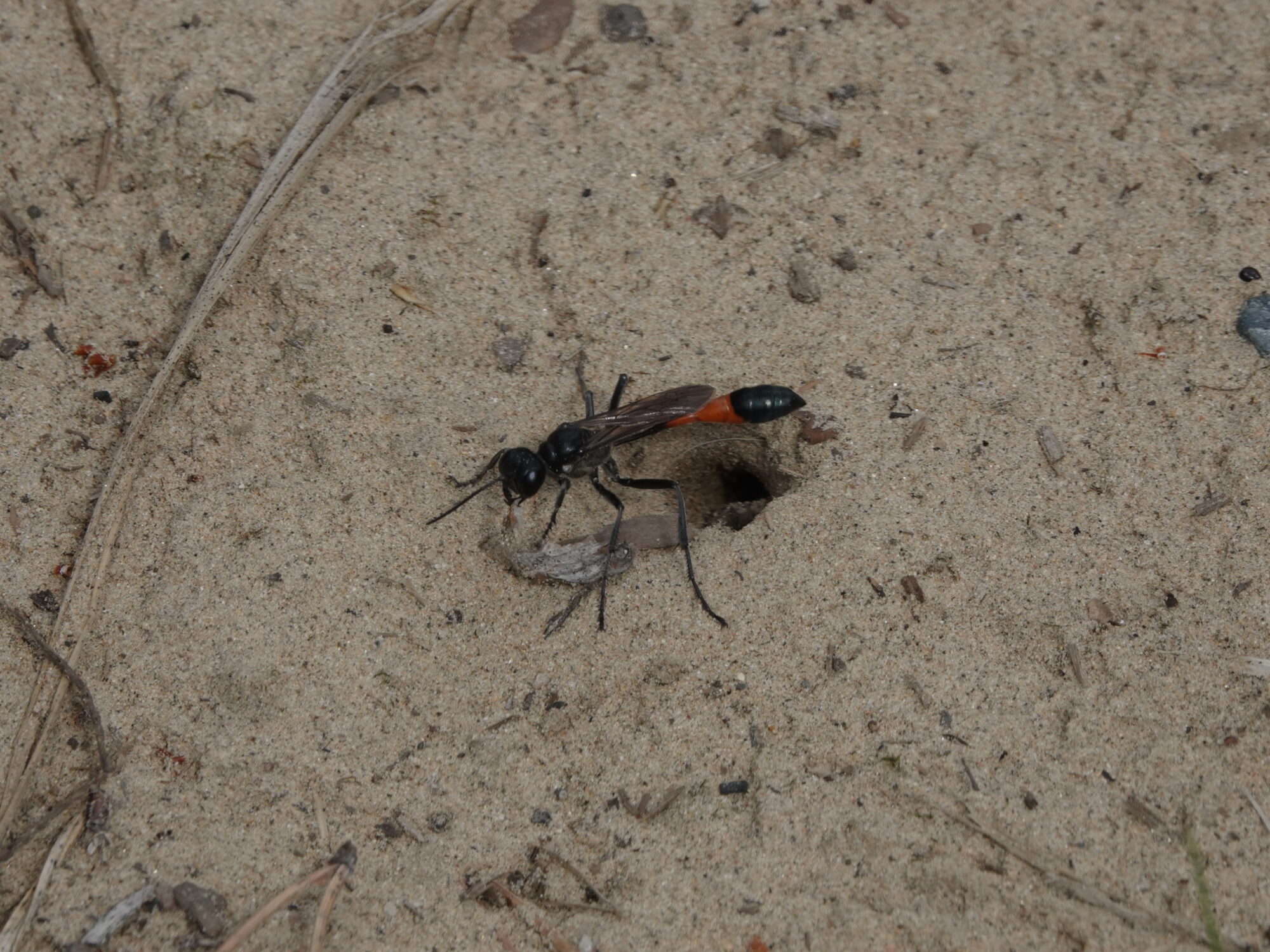 Valokuvaaja: Jenna Pitkänen