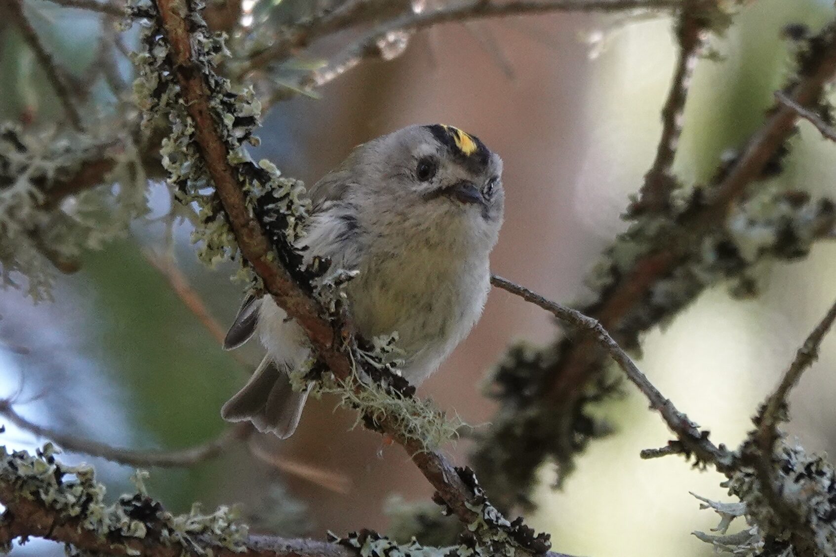 Valokuvaaja: Ulla Helle