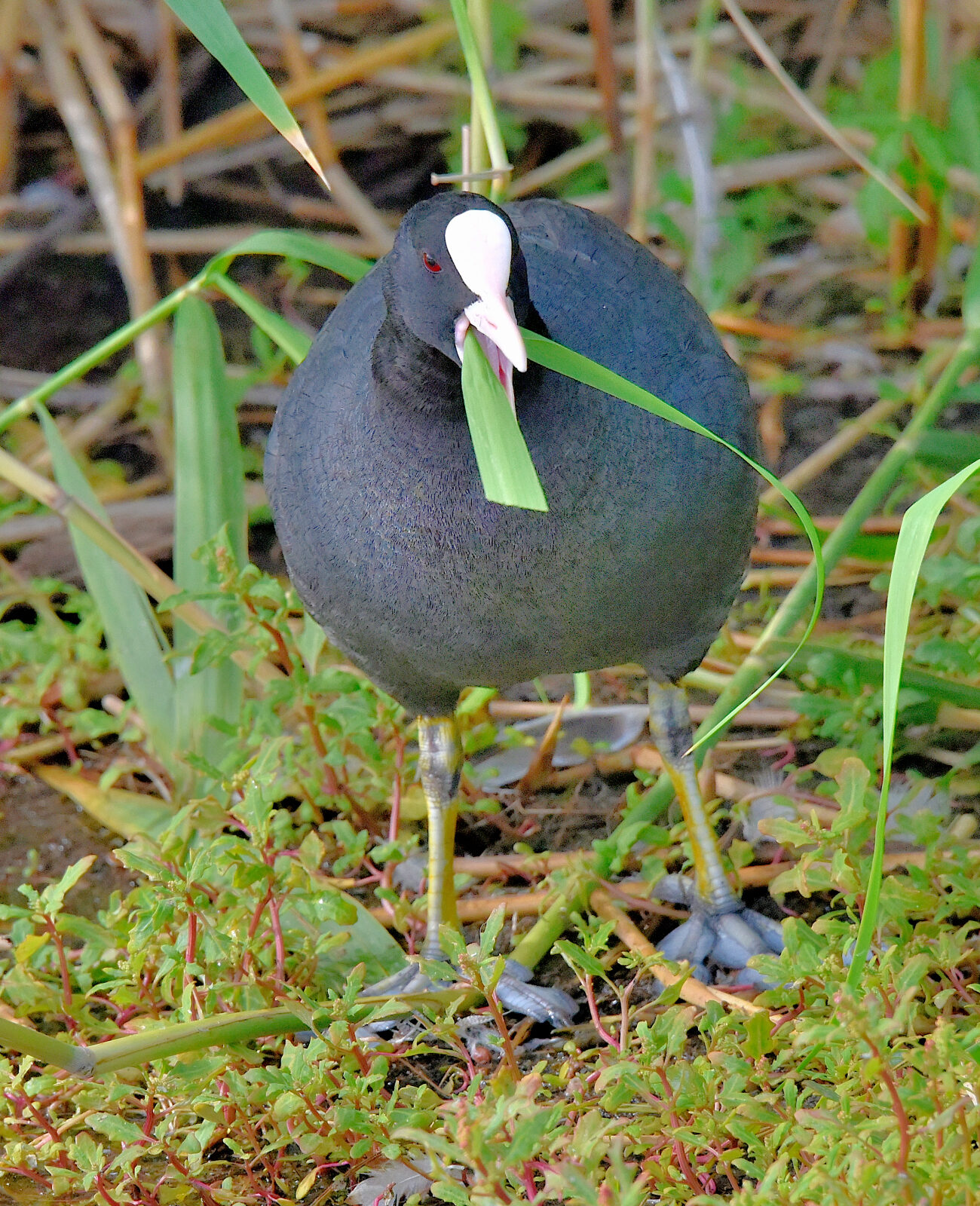 Valokuvaaja: Reijo Juurinen