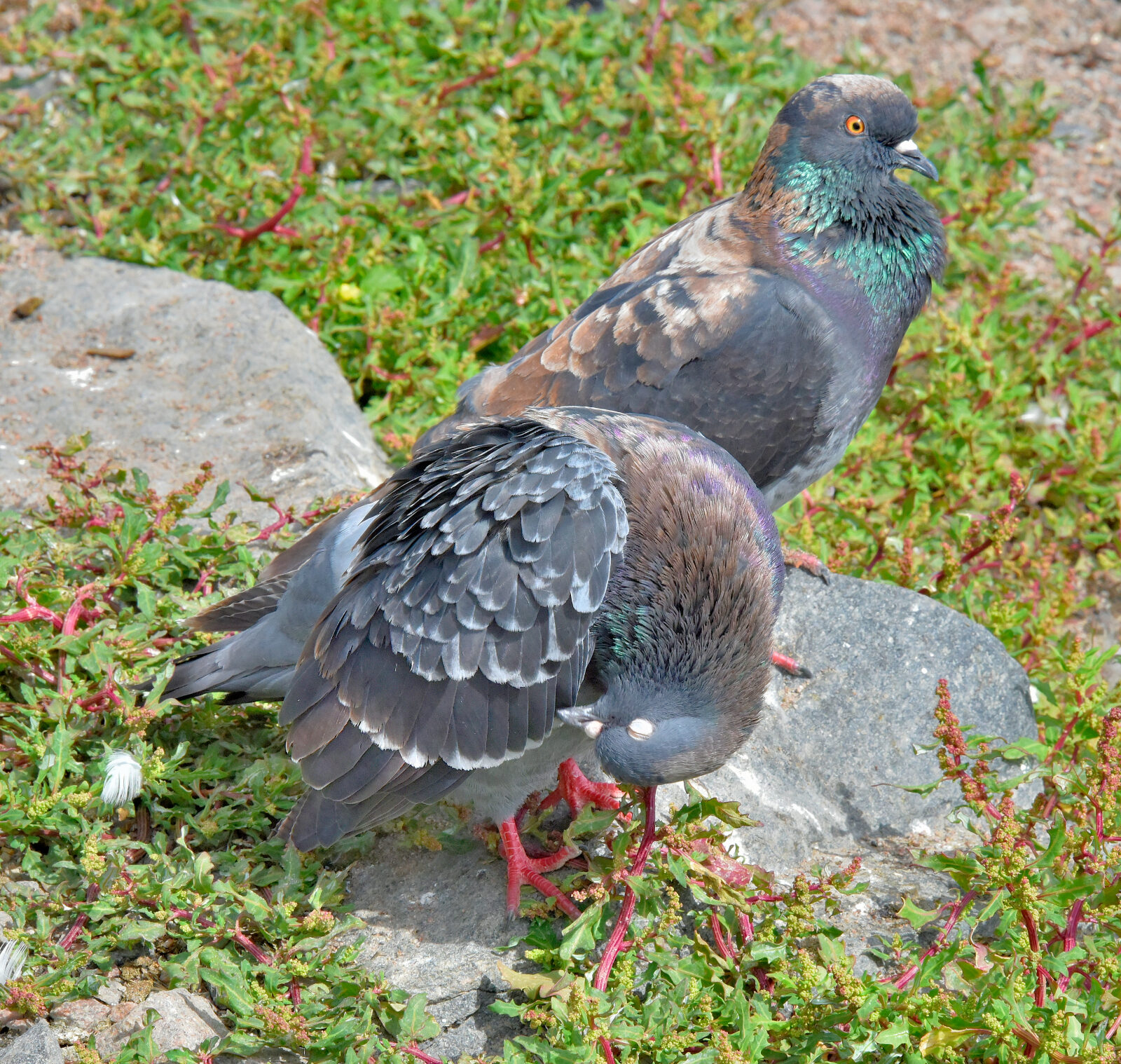 Valokuvaaja: Reijo Juurinen