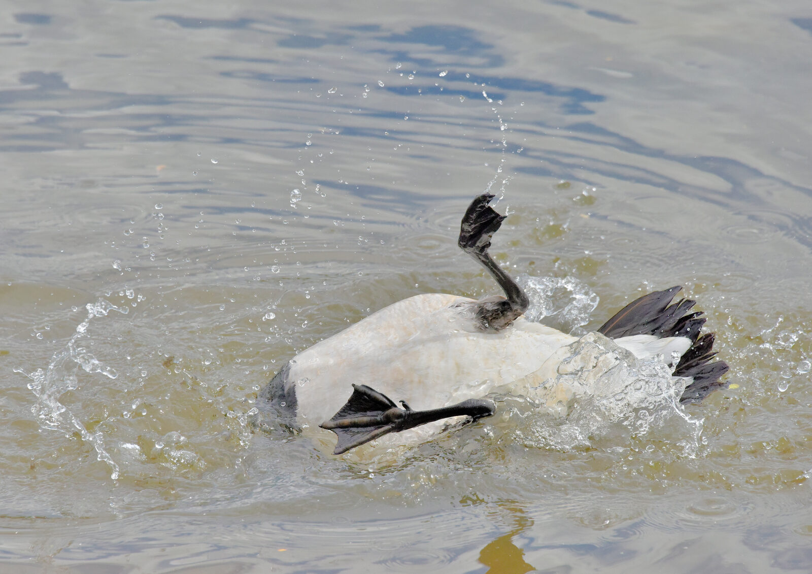 Valokuvaaja: Reijo Juurinen