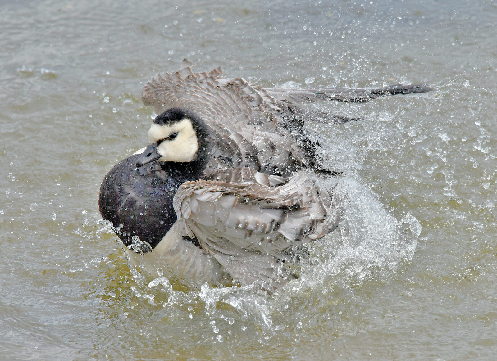 Valokuvaaja: Reijo Juurinen