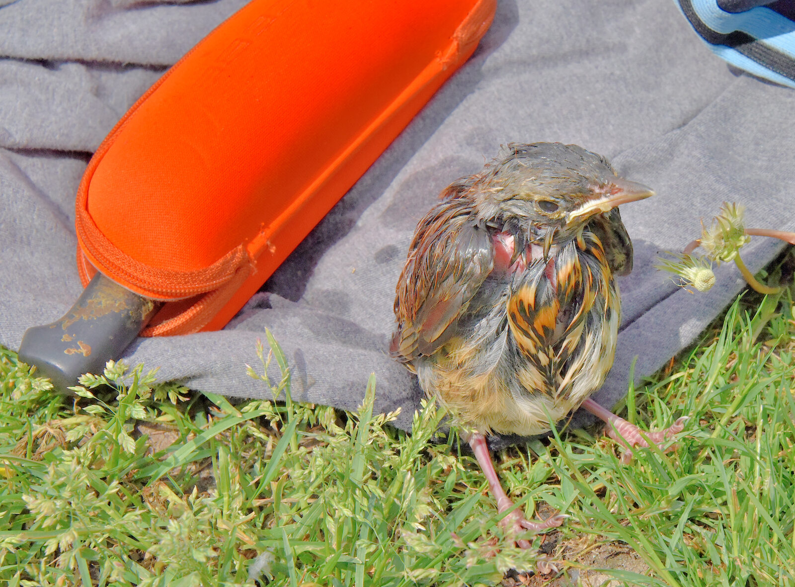 Valokuvaaja: Reijo Juurinen