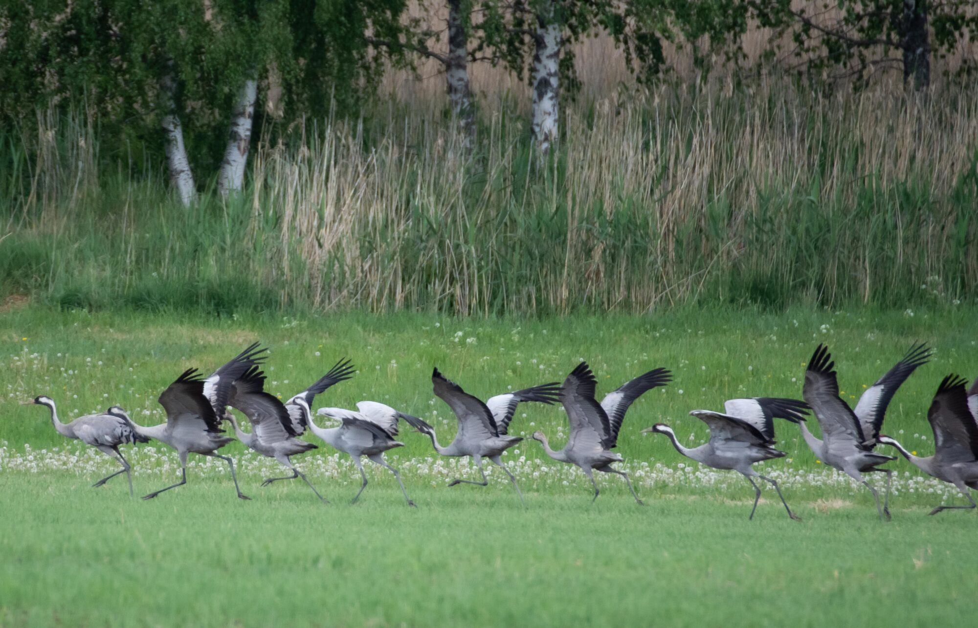 Valokuvaaja: Tuula Komsi