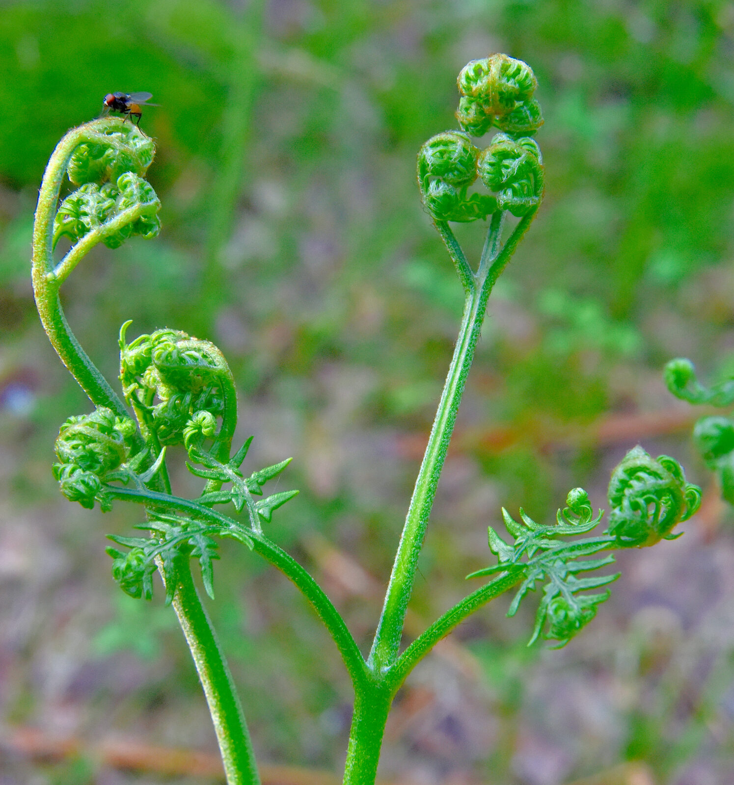 Valokuvaaja: Reijo Juurinen