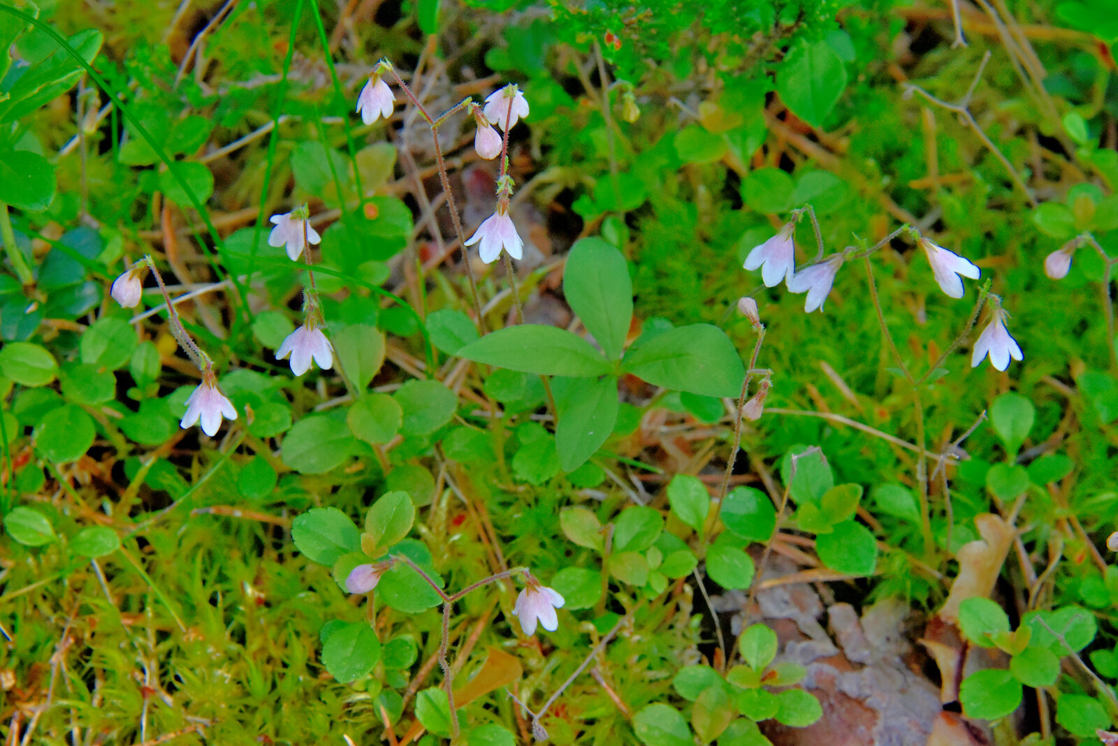 Valokuvaaja: Reijo Juurinen