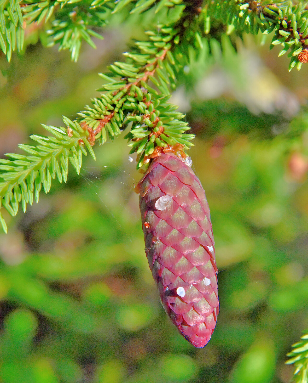 Valokuvaaja: Reijo Juurinen
