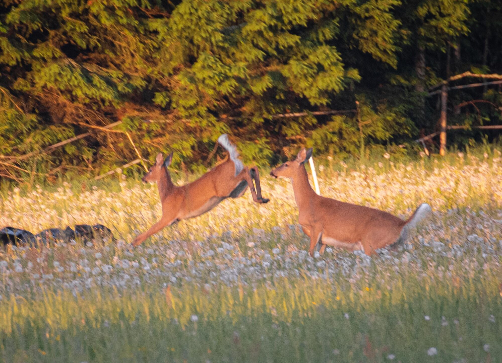 Valokuvaaja: Tuula Komsi