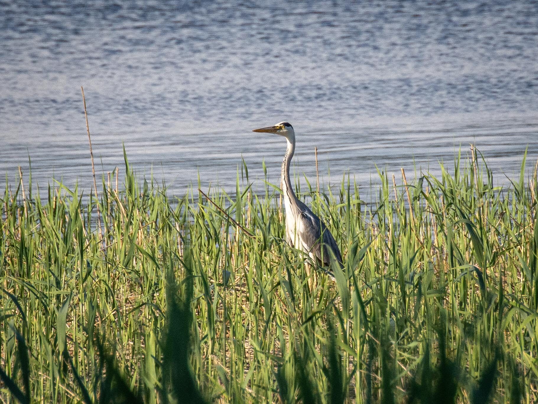 Valokuvaaja: Tuula Komsi