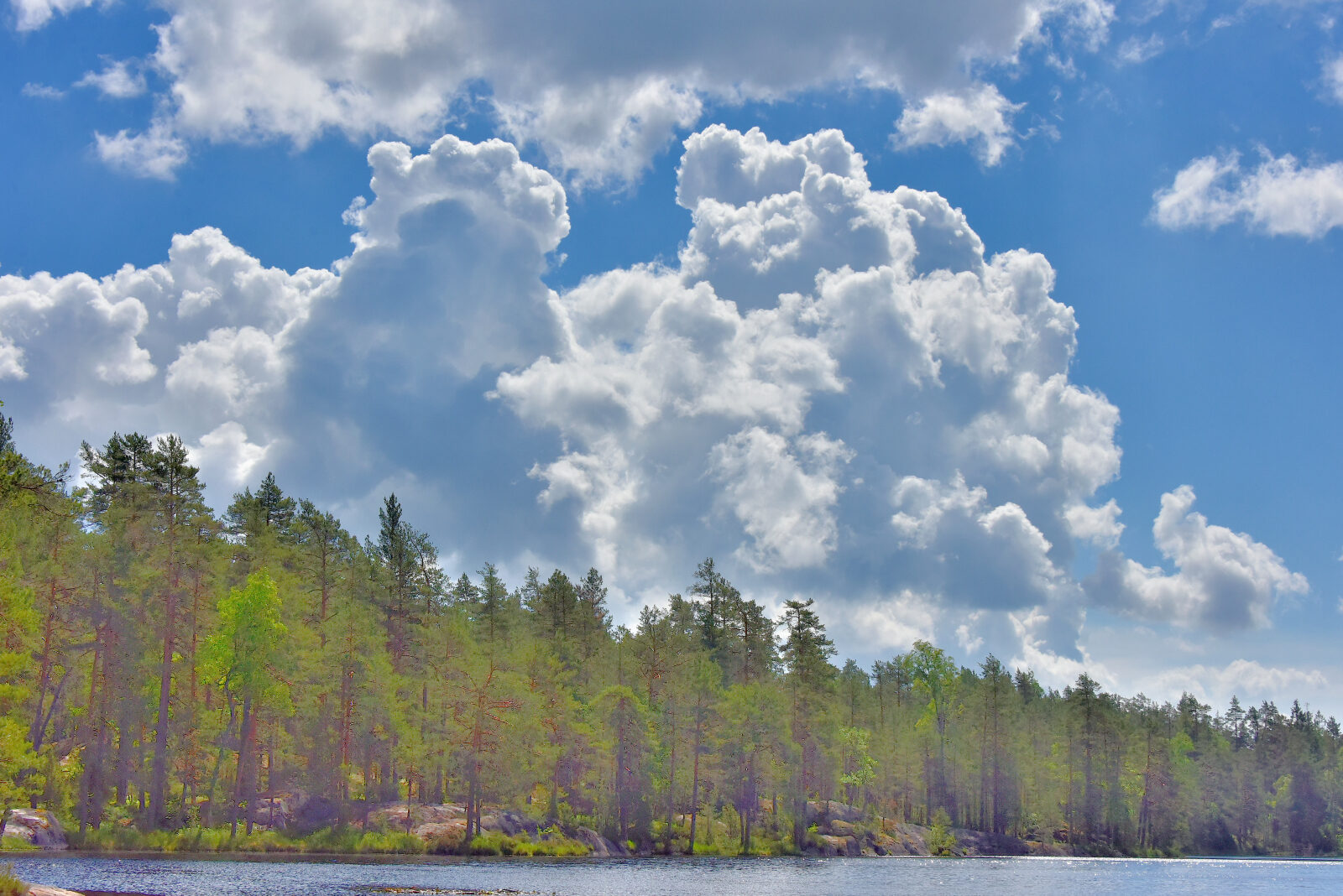 Valokuvaaja: Reijo Juurinen