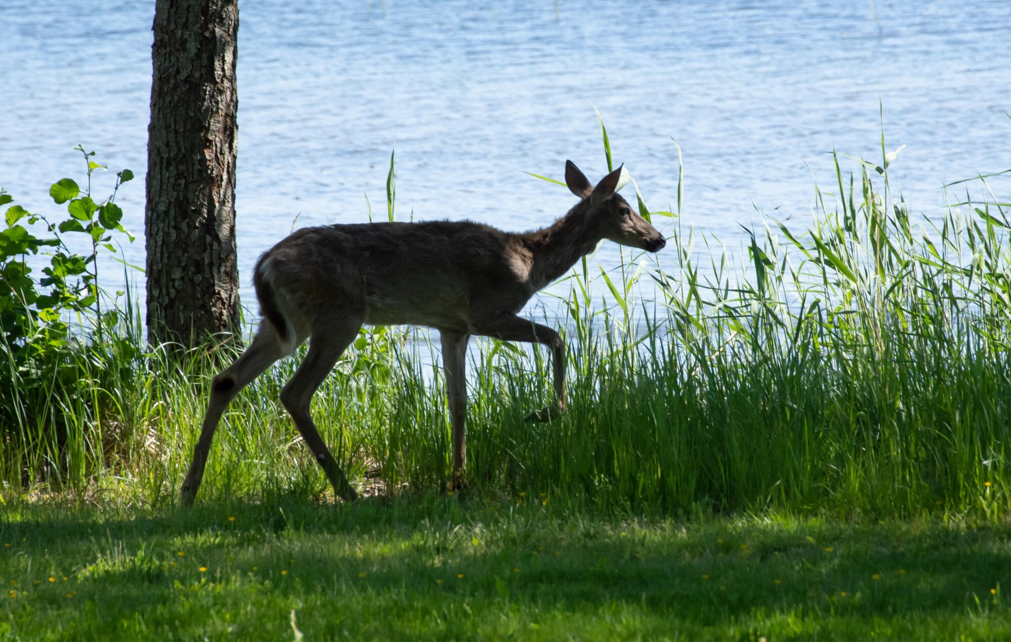 Valokuvaaja: Tuula Komsi