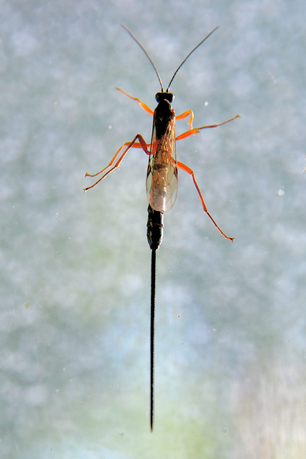 Valokuvaaja: Reijo Juurinen