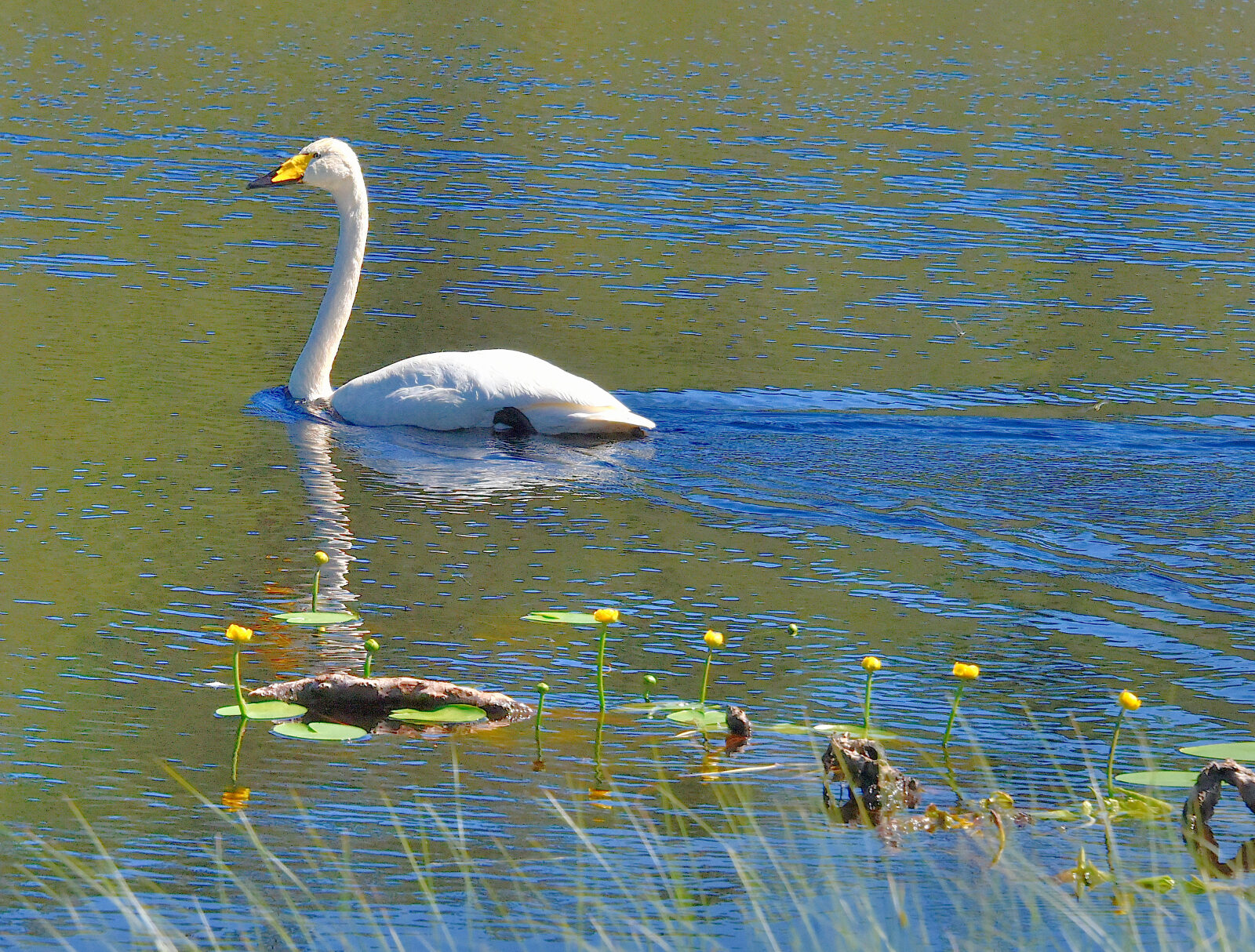 Valokuvaaja: Reijo Juurinen