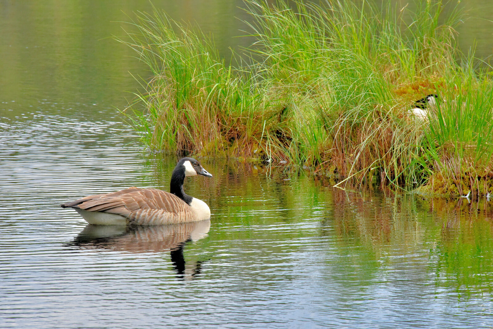 Valokuvaaja: Reijo Juurinen